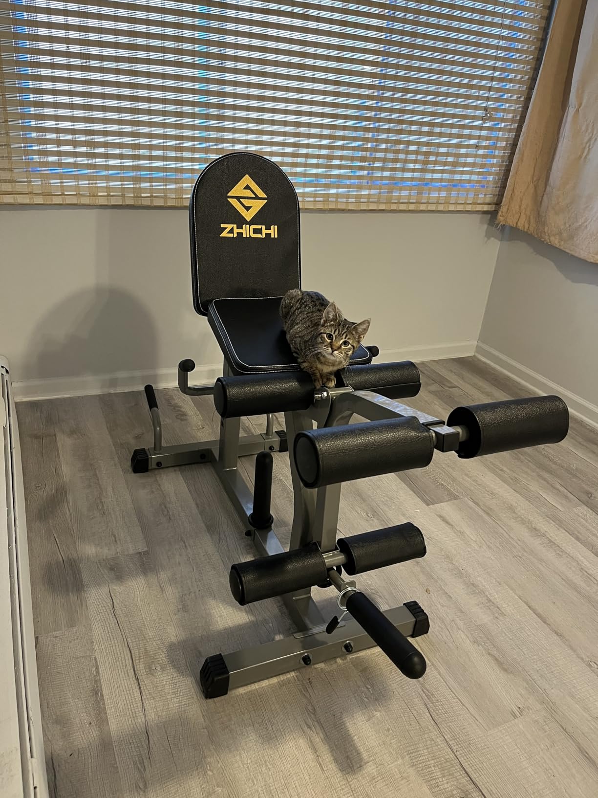 Z ZHICHI 2-in-1 Leg Curl/Extension Machine, Home Use, Burn Quads/Calves Fast, 5s Quick Function Switch, 7.9sqft Flexible Space Use, 660LBS Capacity customer photo 2