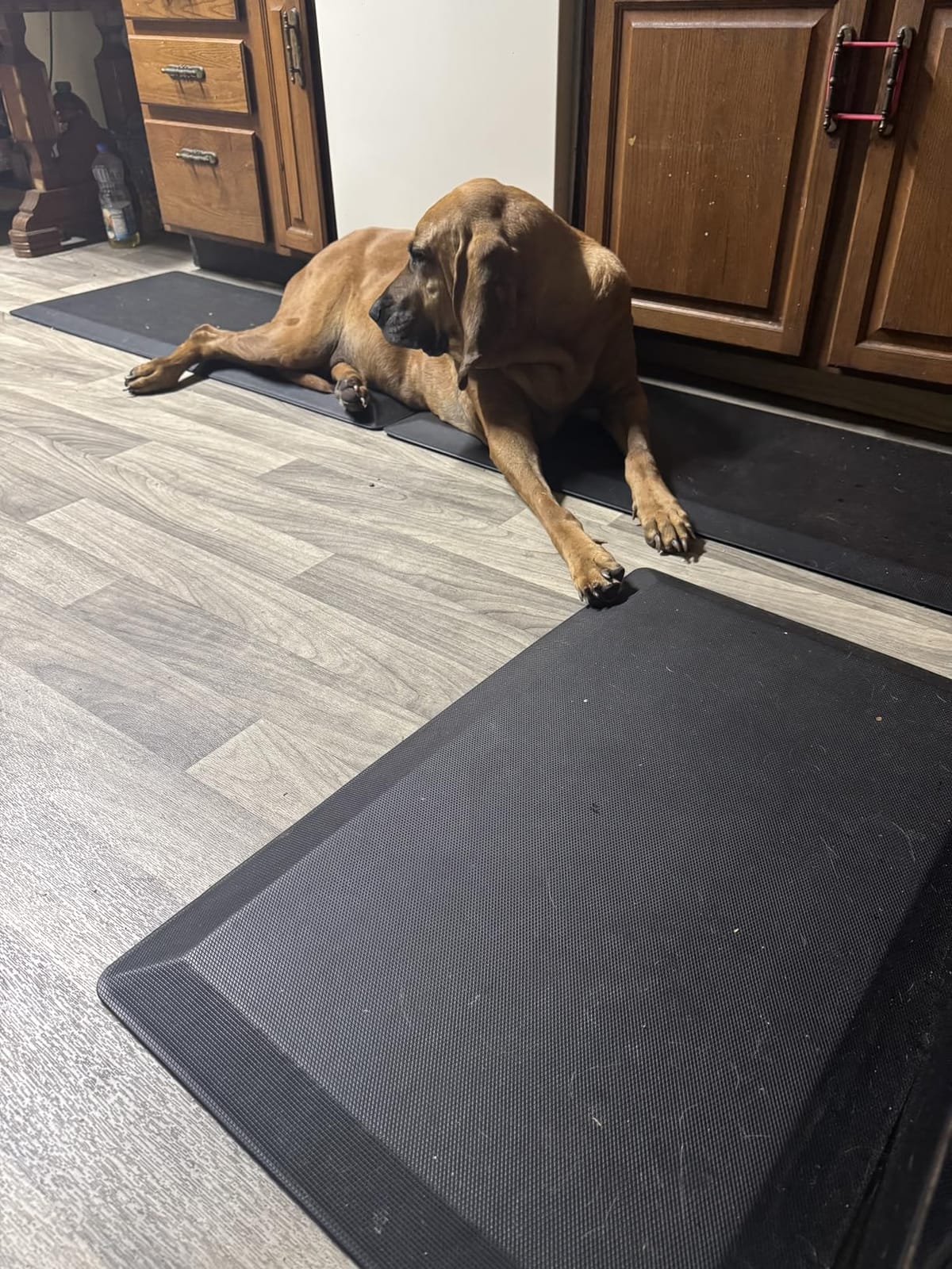 Anti Fatigue Kitchen Mats for Floor, 9/10 Extra Thick Cushioned Standing Desk Mat, Comfort Memory Foam Ergonomic Kitchen Rugs and Mats Non-Slip Waterproof for Office, Kitchen, Sink, 20