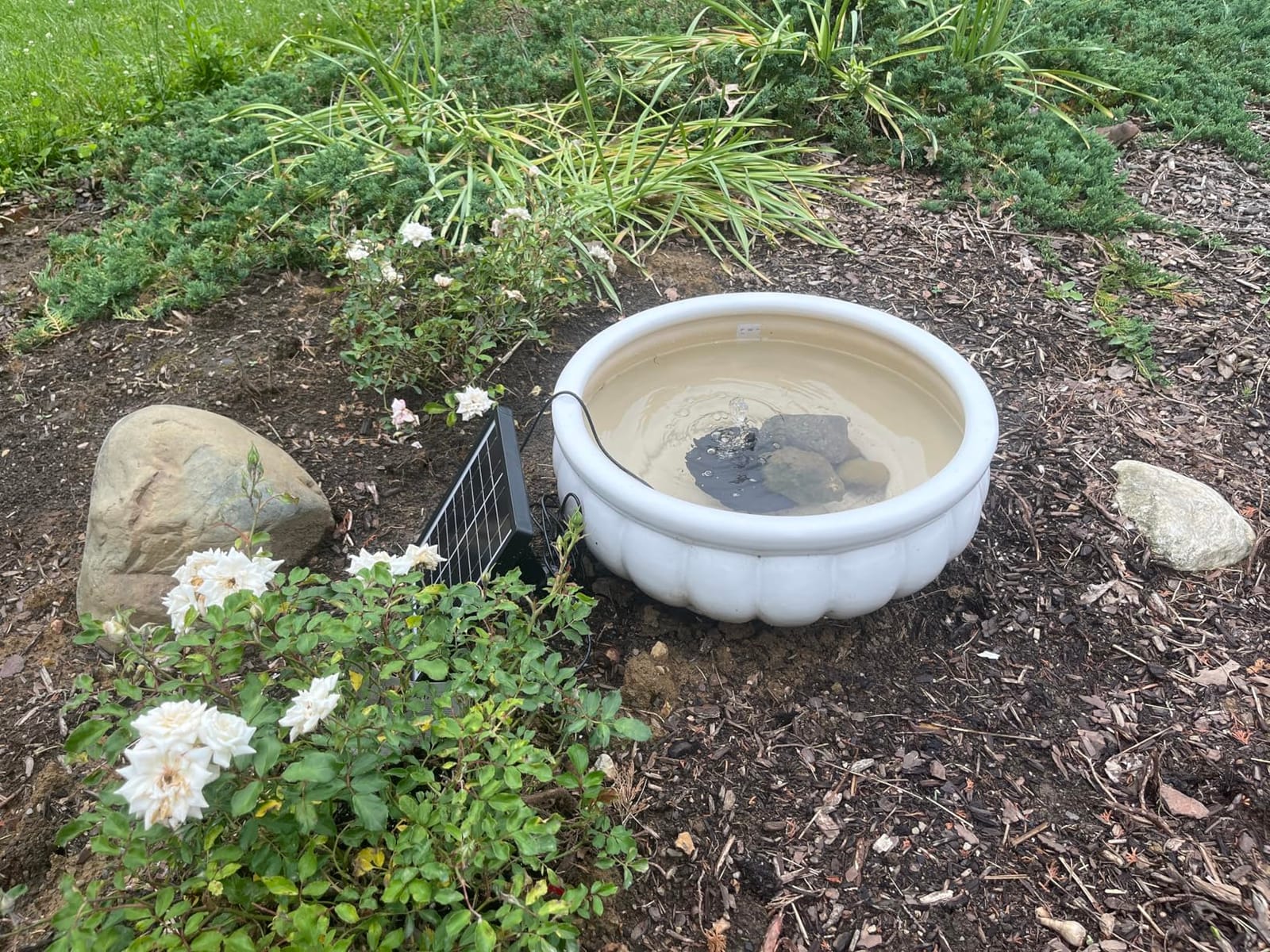 POPOSOAP 6.5W Solar Fountain Pump for Bird Bath Built-in 3000mAh Battery Backup, DIY Solar Water Fountain with Double-Layer Nozzles & Dry-Run Protection 5Ft Tubing for Ponds, Bird Bath, Water Features customer photo 2