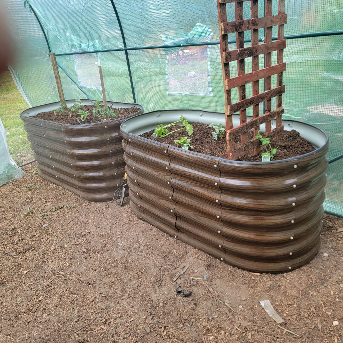 Galvanized Steel Raised Garden Bed Kit - 2 Pack 4x2x2 ft Metal Planter Box for Vegetables, Flowers, Herbs customer photo 1