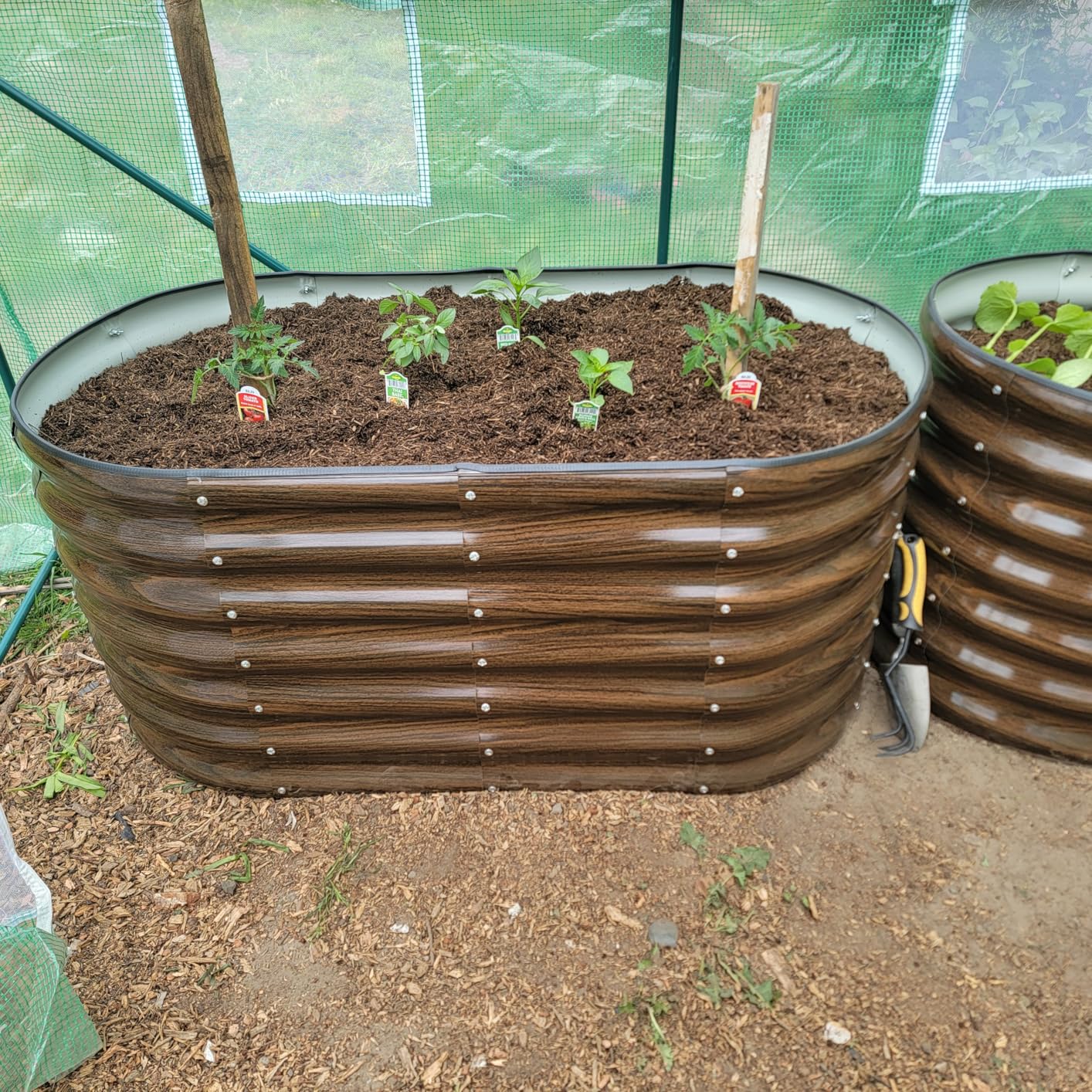 Galvanized Steel Raised Garden Bed Kit - 2 Pack 4x2x2 ft Metal Planter Box for Vegetables, Flowers, Herbs customer photo 2