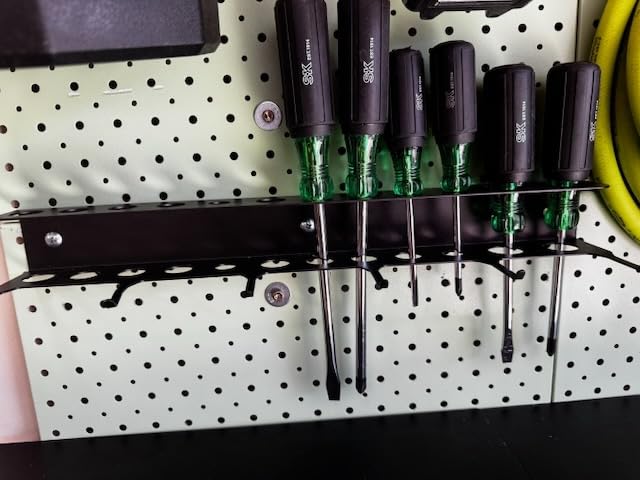 Wall Mount Brush Holder & Tool Hanger Rack for Garage, Detailing Organizer with Mounting Hardware - Holds 12 Brushes + Hooks for Towels & Tools customer photo 1