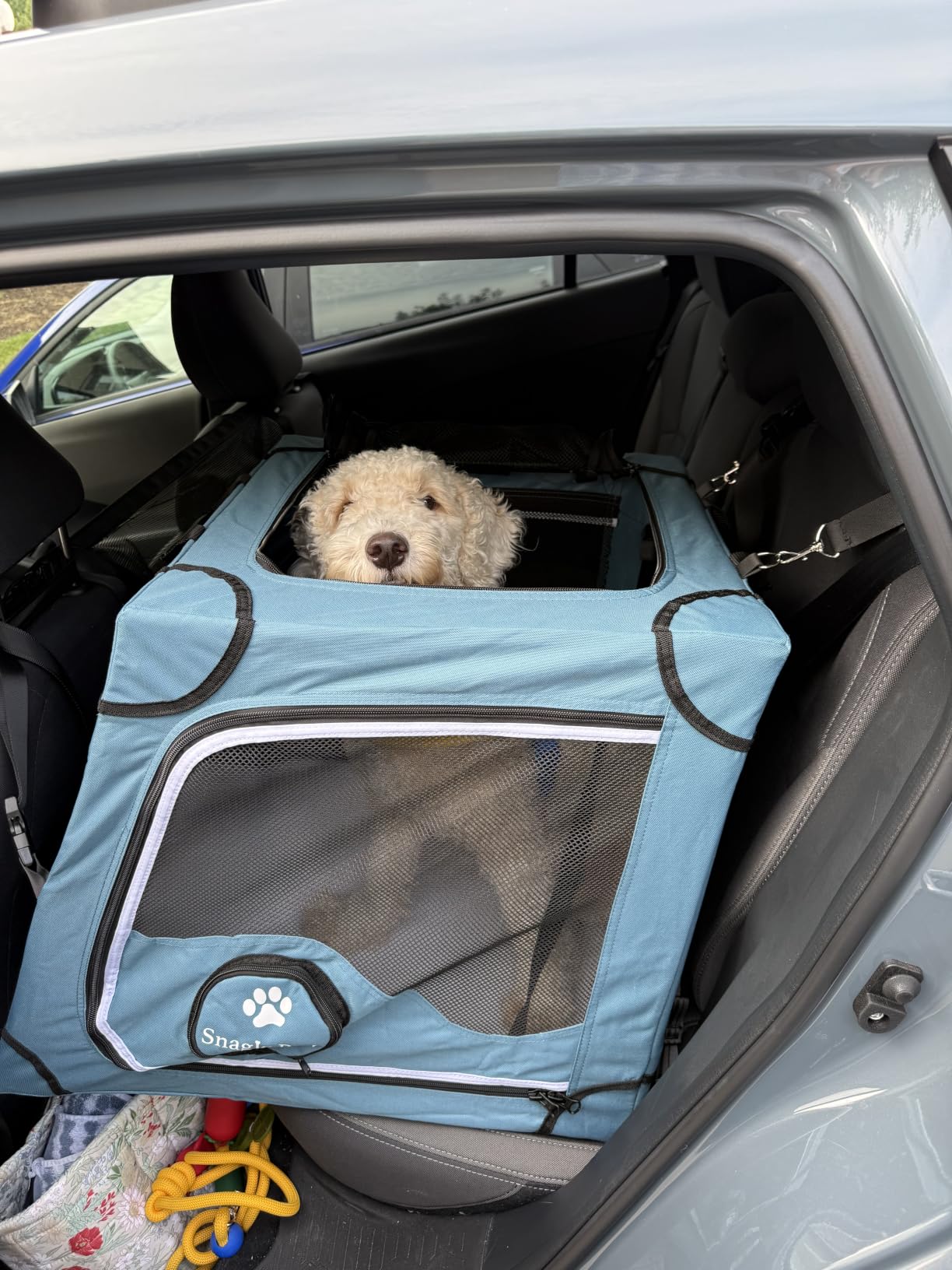 Snagle Paw Portable Dog Crate for Car Travel,Metal Frame Pet Crate,Pet Carrier for Car Back Seat Secures with Headrest Strap and Seatbelt,M customer photo 2