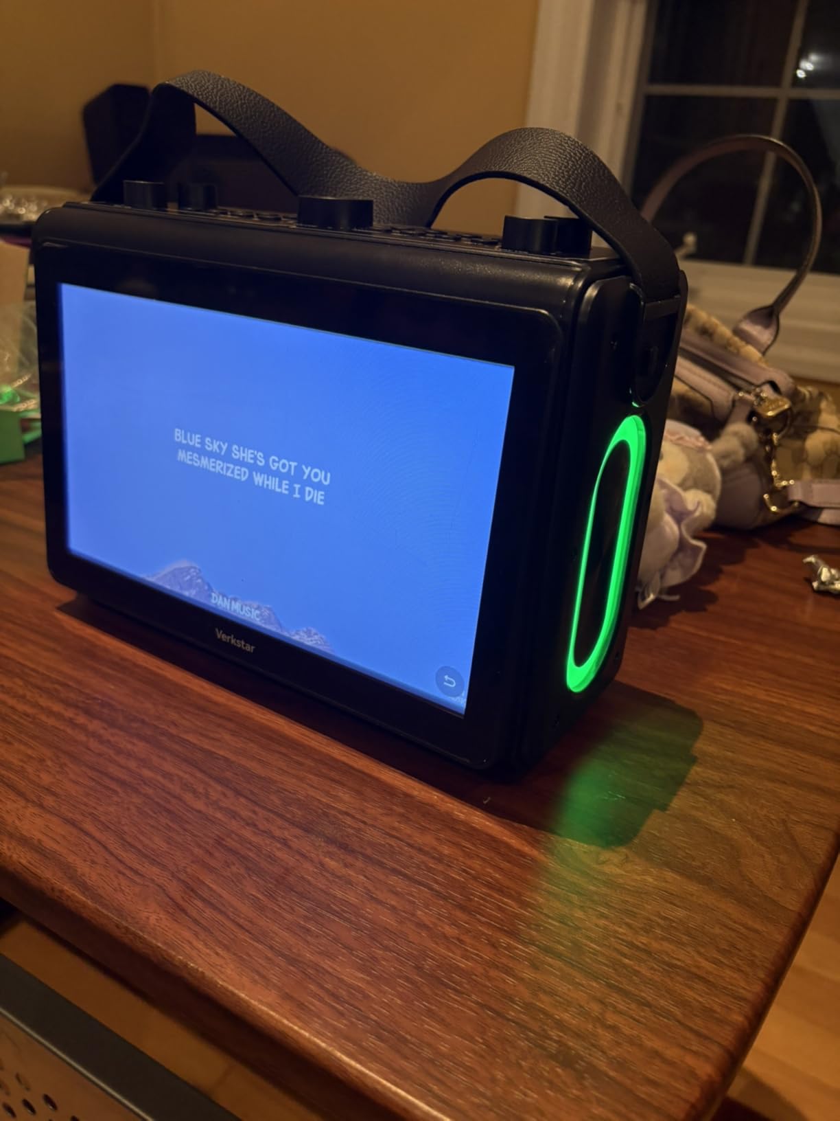 Karaoke Machine for Adults, Built-in 10.1