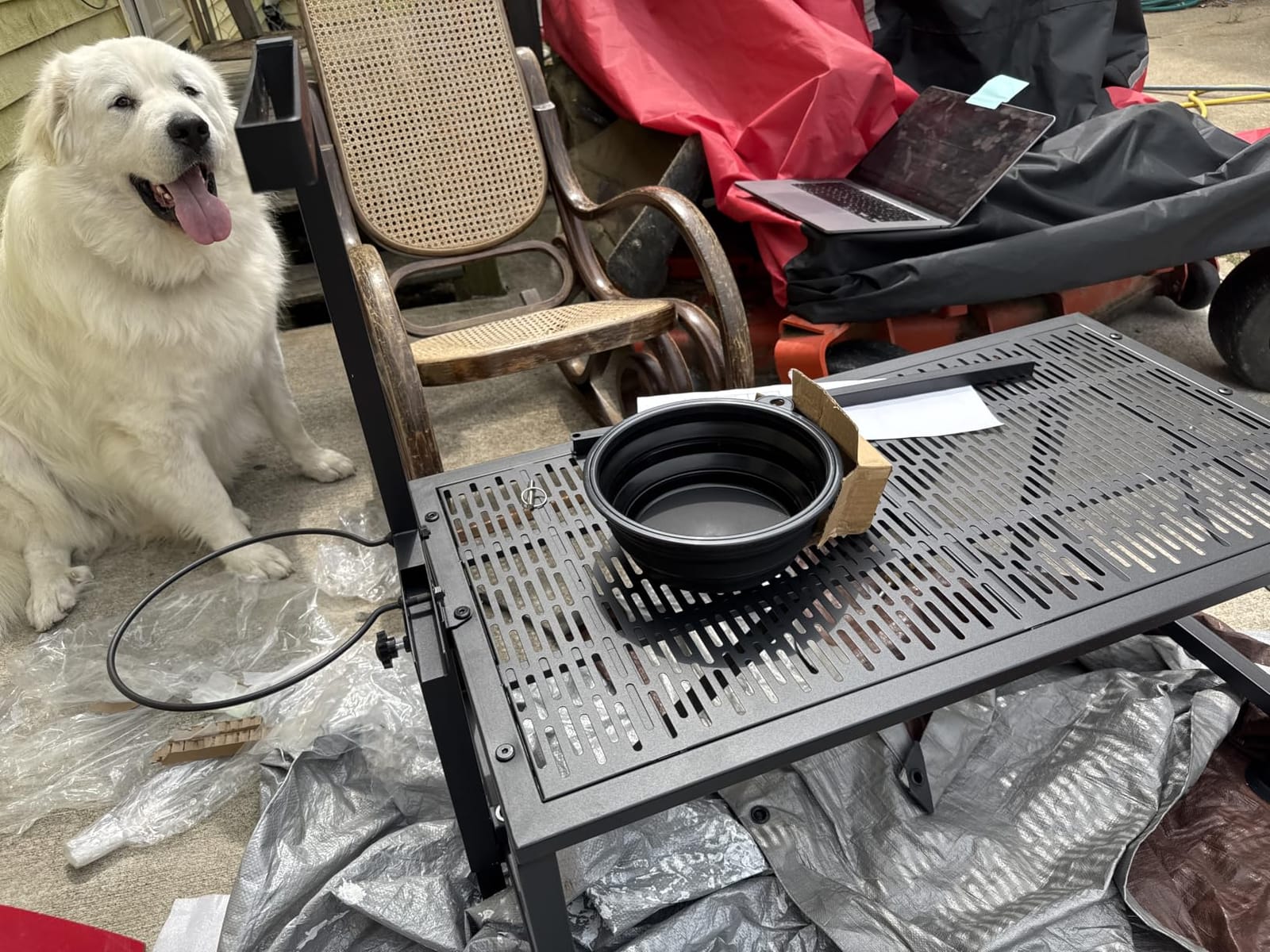 Upgrade Goat Milk Stand with Feed Bin, 400lbs Goat Stand for Grooming & Hoof Trimming, 1mm Thick Platform & Anti-Slip Design, for Pygmy and Dwarf Goats, Firm Head Lock and Adjustable Head customer photo 1
