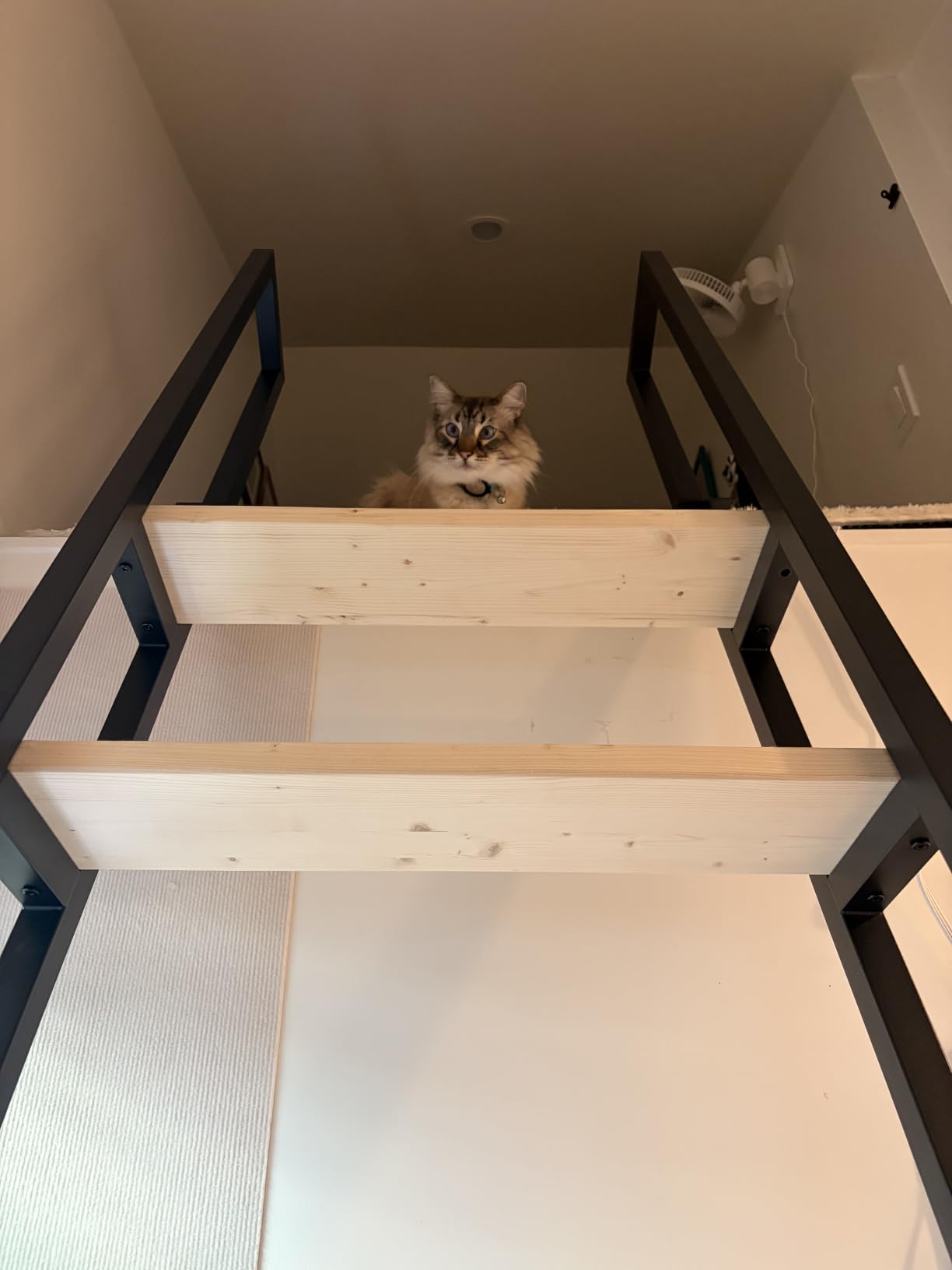 9.35FT Industrial Style Loft Ladder, 7 Steps with Black Steel Handrails & Solid Wood Steps, 450lbs Capacity customer photo 1