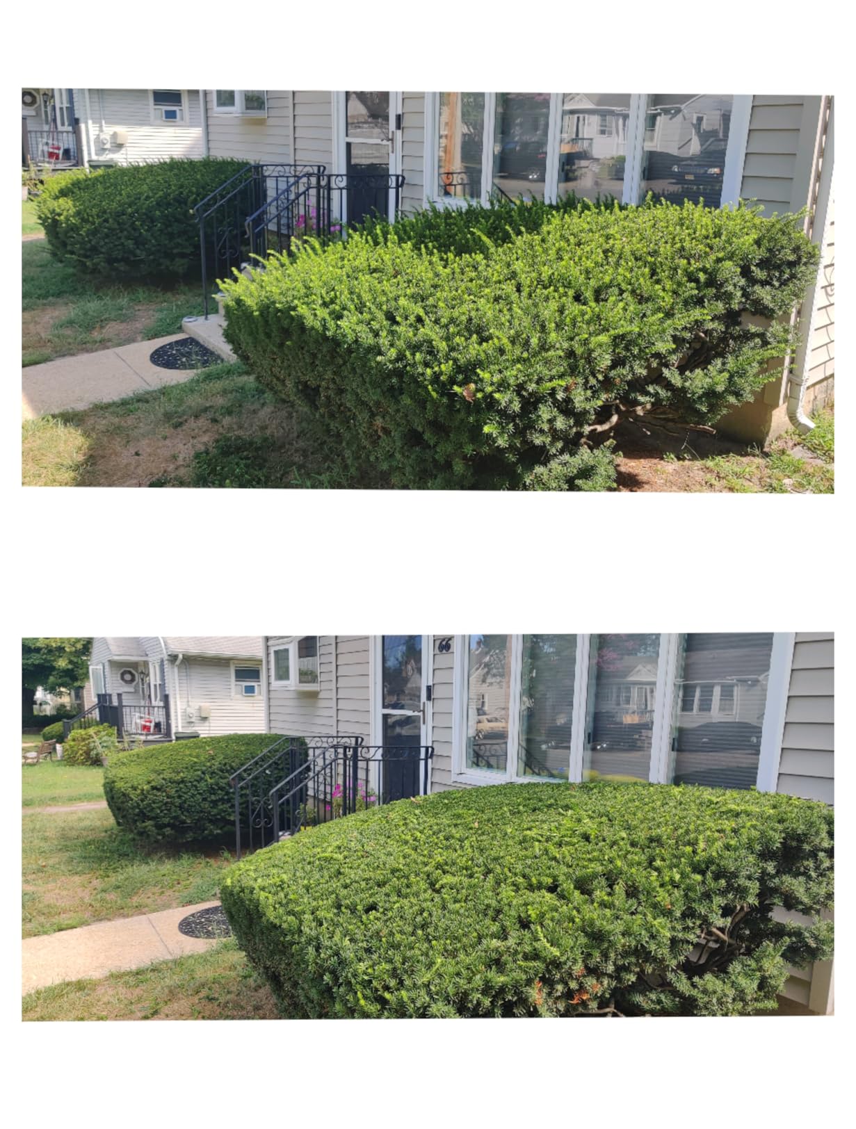 24-Inch 36cc 2 Cycle Gas Powered Dual Sided Hedge Trimmer customer photo 1