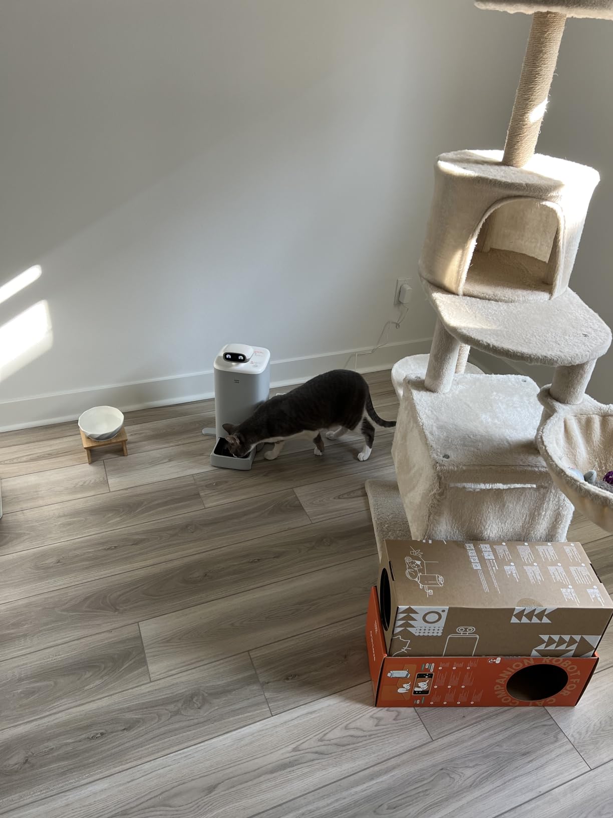Yuno AI Smart Automatic Cat Feeder with 2K 360° Camera Auto-Track, AI Health Insights, Two-Way Audio, Night Vision Camera, 2.4G&5G WiFi, Small Dog Feeder, 5L customer photo 2
