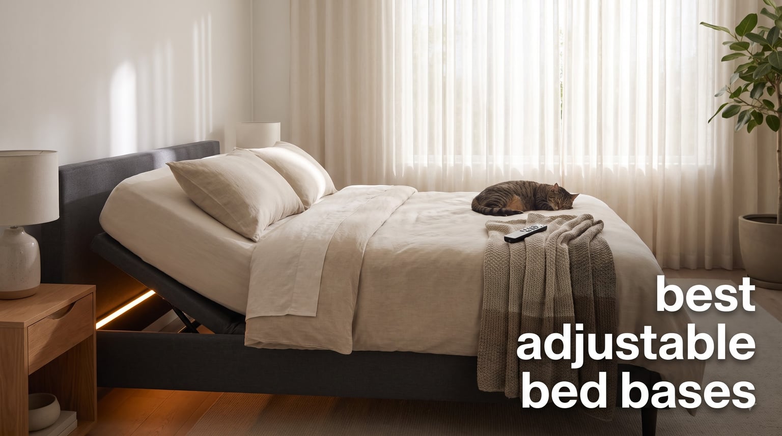 best adjustable bed bases