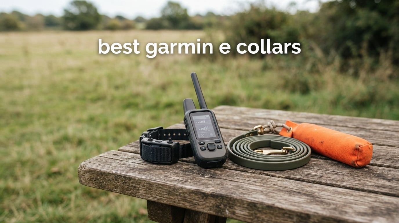 best garmin e collars