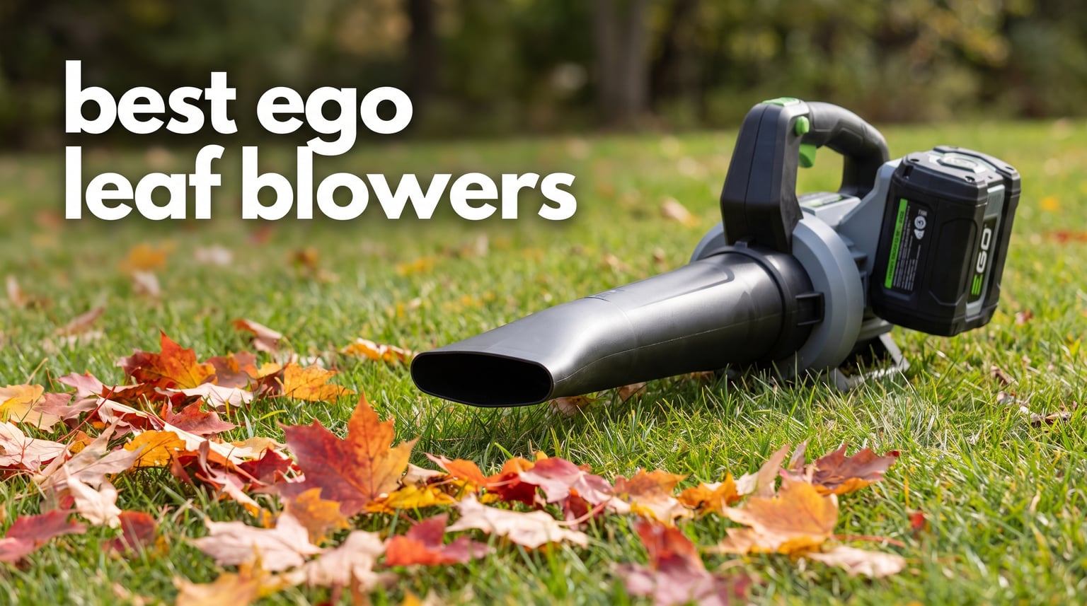 best ego leaf blowers