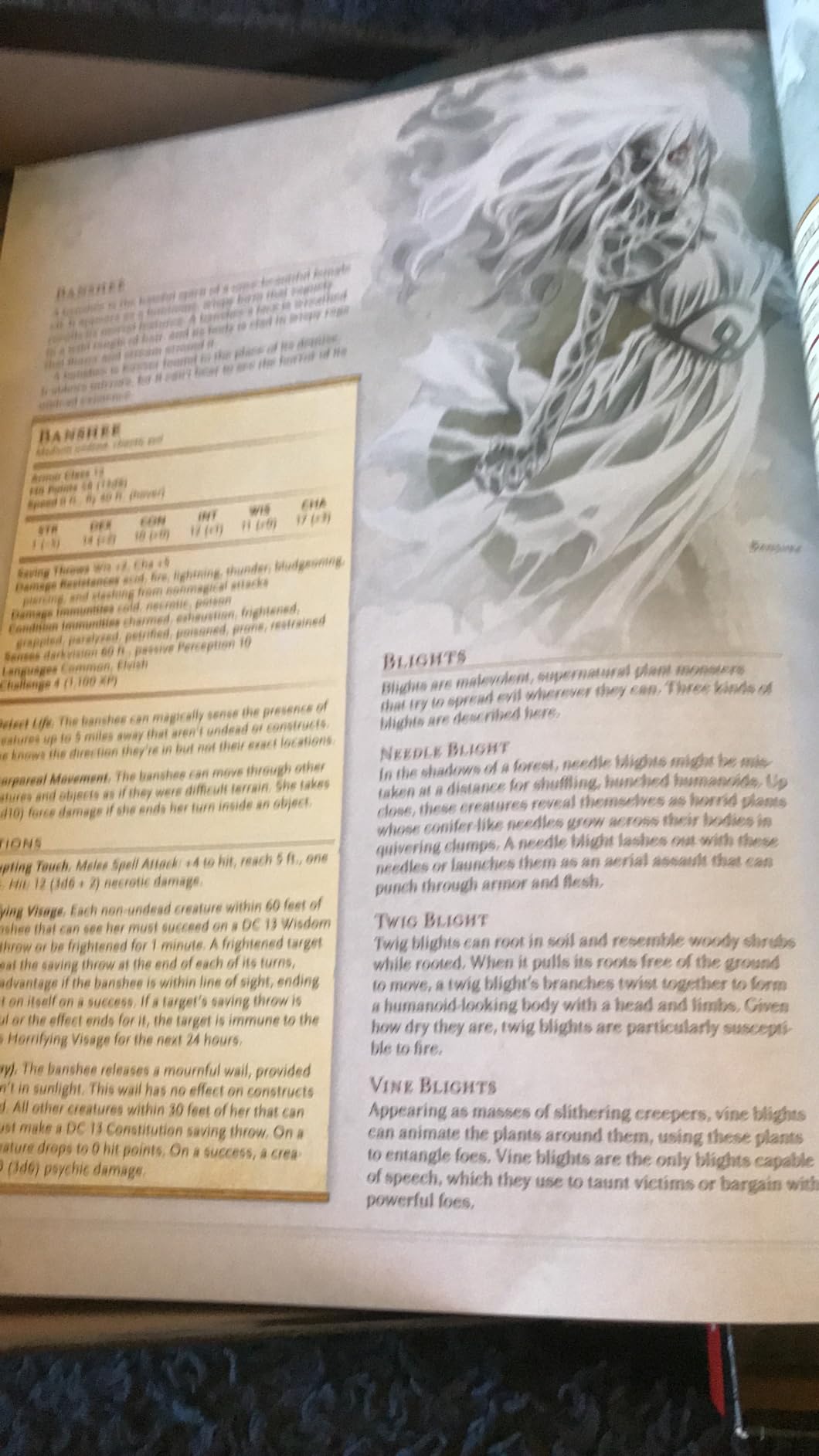 D&D Essentials Kit (Dungeons & Dragons Intro Adventure Set) customer photo 1
