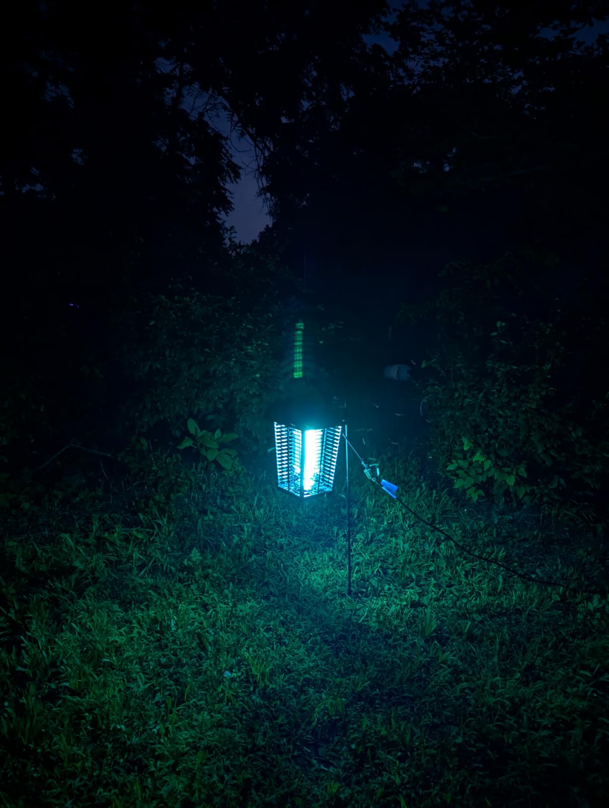 Flowtron Electric Bug Zapper, 1 Acre Outdoor, 40W UV, 5600V Zap, Black customer photo 1