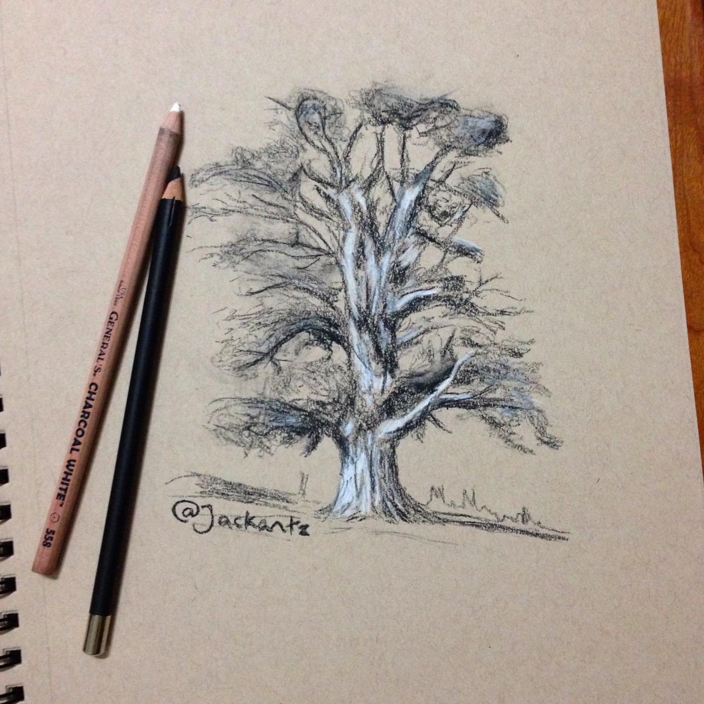 General Pencil Gen15 Charcoal Kit, Multicolor (GEN15) customer photo 2