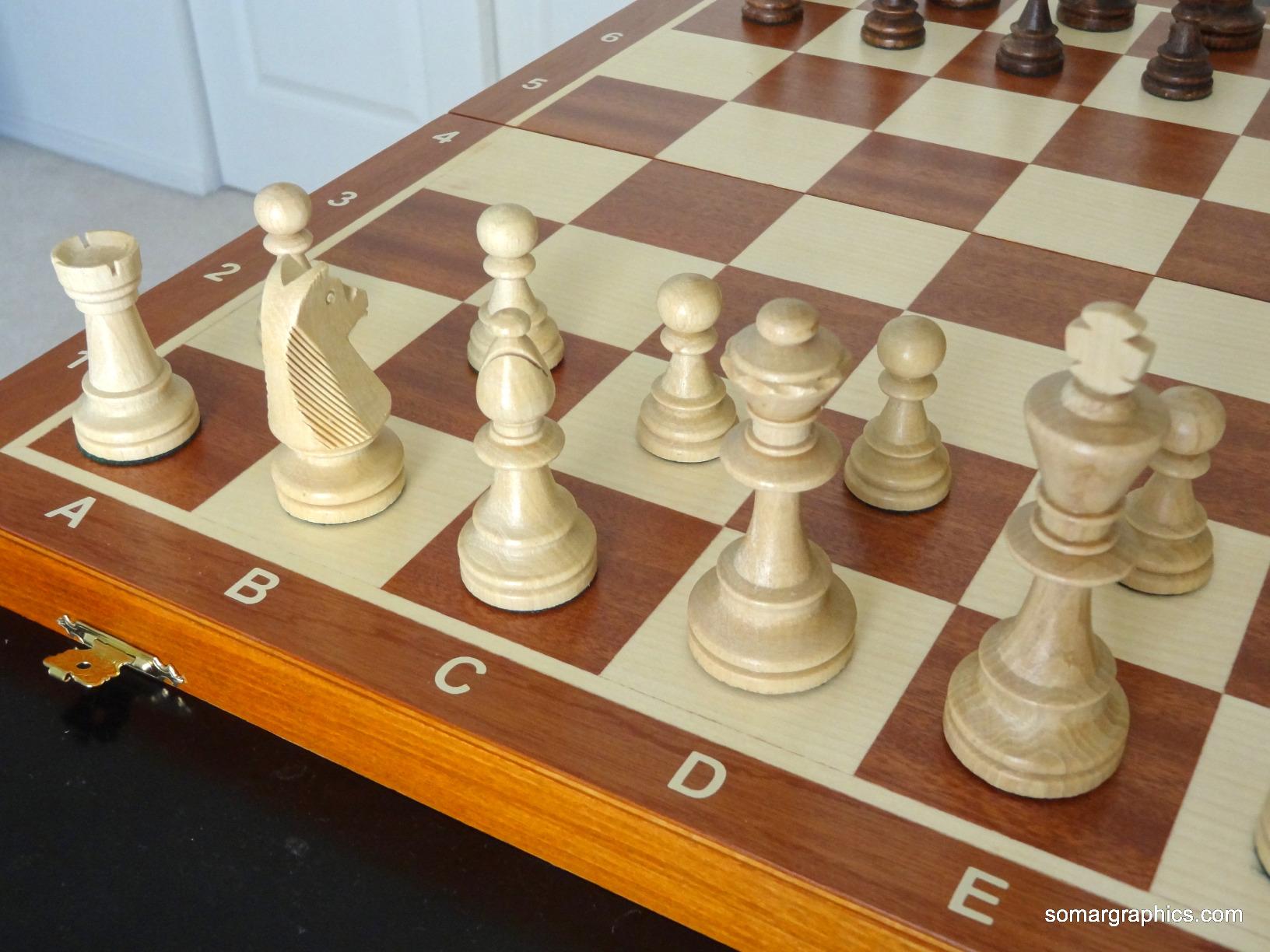 Wegiel Handmade European Professional Tournament Chess Set - Wooden 21 Inch Folding Board with Felt Base & Hand Carved Chess Pieces - Compartment Inside The Board to Store Each Piece customer photo 1
