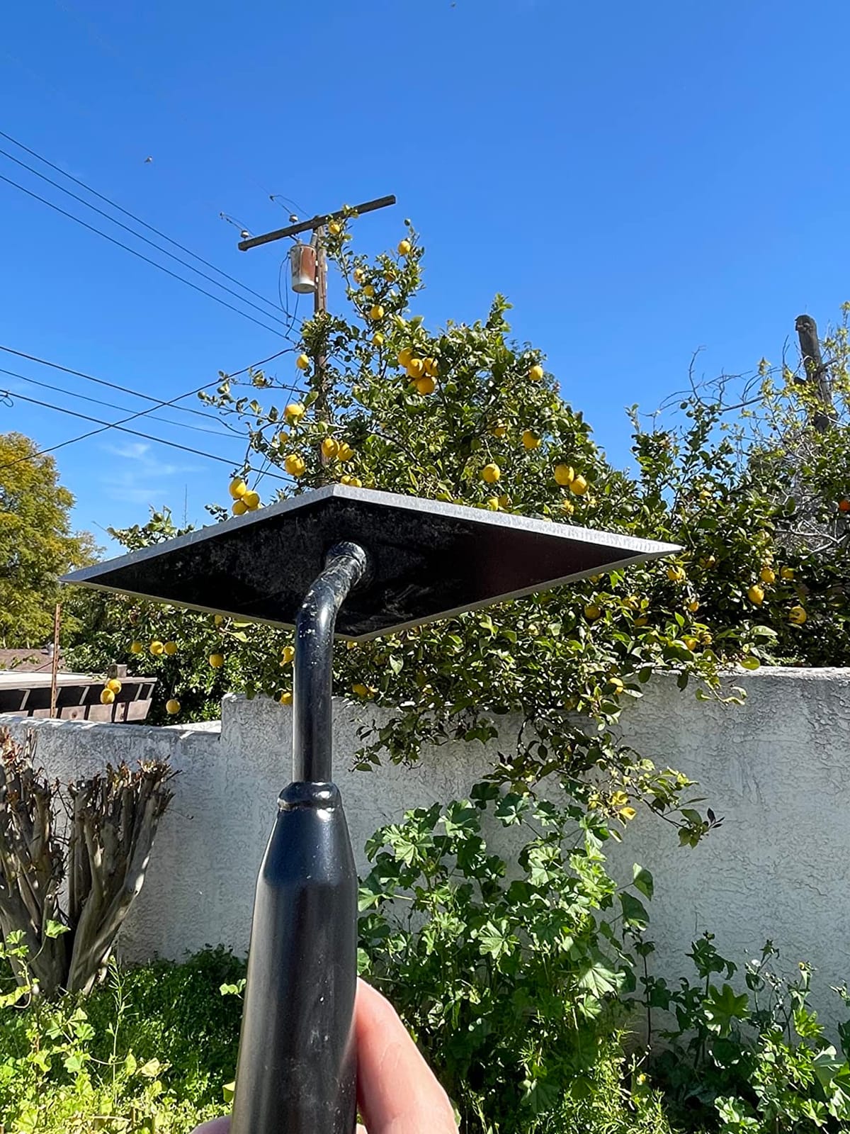 Corona Clipper SH61000 Diamond Hoe customer photo 2