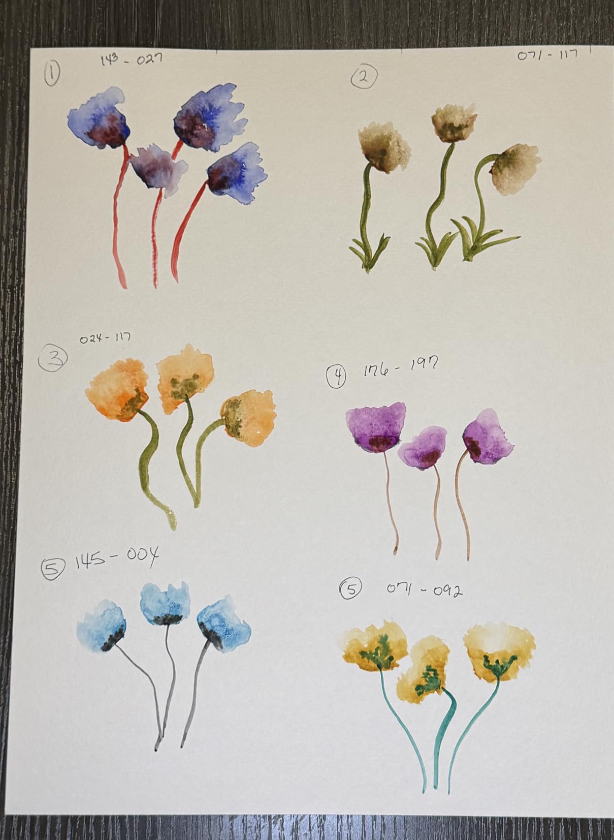 Sakura Koi Pocket Field Sketch Kit - Watercolor Sets for Painting On the Go - 24 Colors - 1 Water Brush - 1 Sponge - 1 Mixing Palette customer photo 2