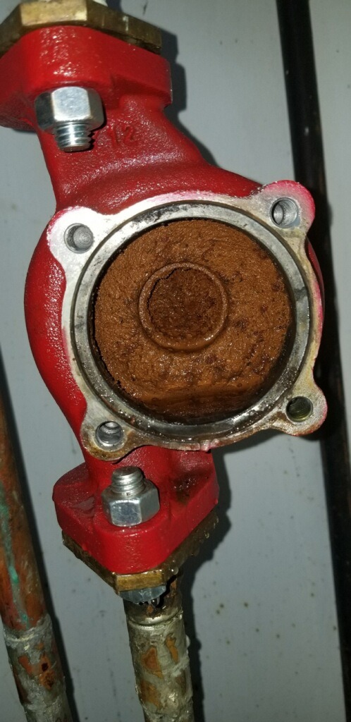 Bell & Gossett Circulating Pump Series 100 Model 100 NFI 1/12 hp 115 Volts customer photo 1