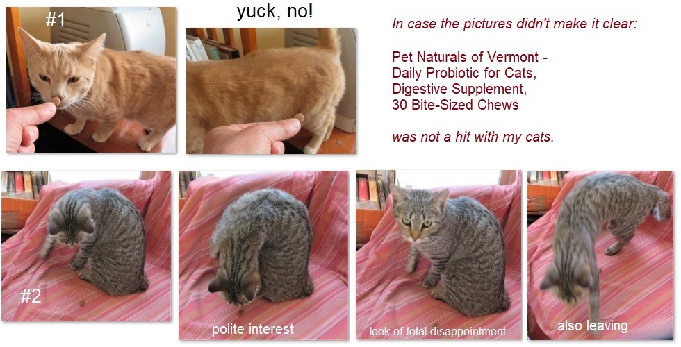 Pet Naturals Daily Probiotic Soft Chews for Cats, Duck, 30 Count | 100 million CFU per chew, digestive and immune support customer photo 2