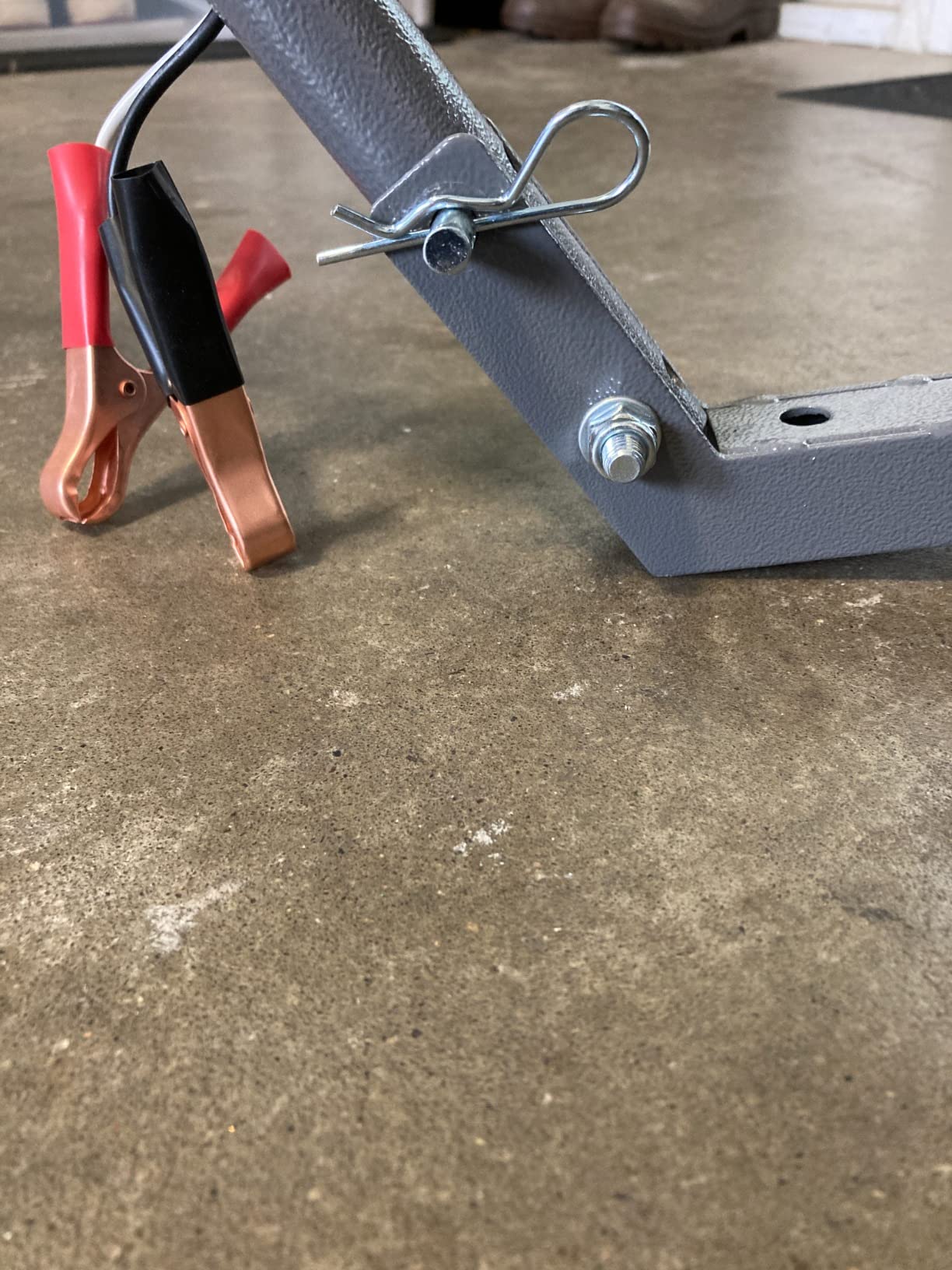 Champion WheelyBird Auto-Feed Trap customer photo 1