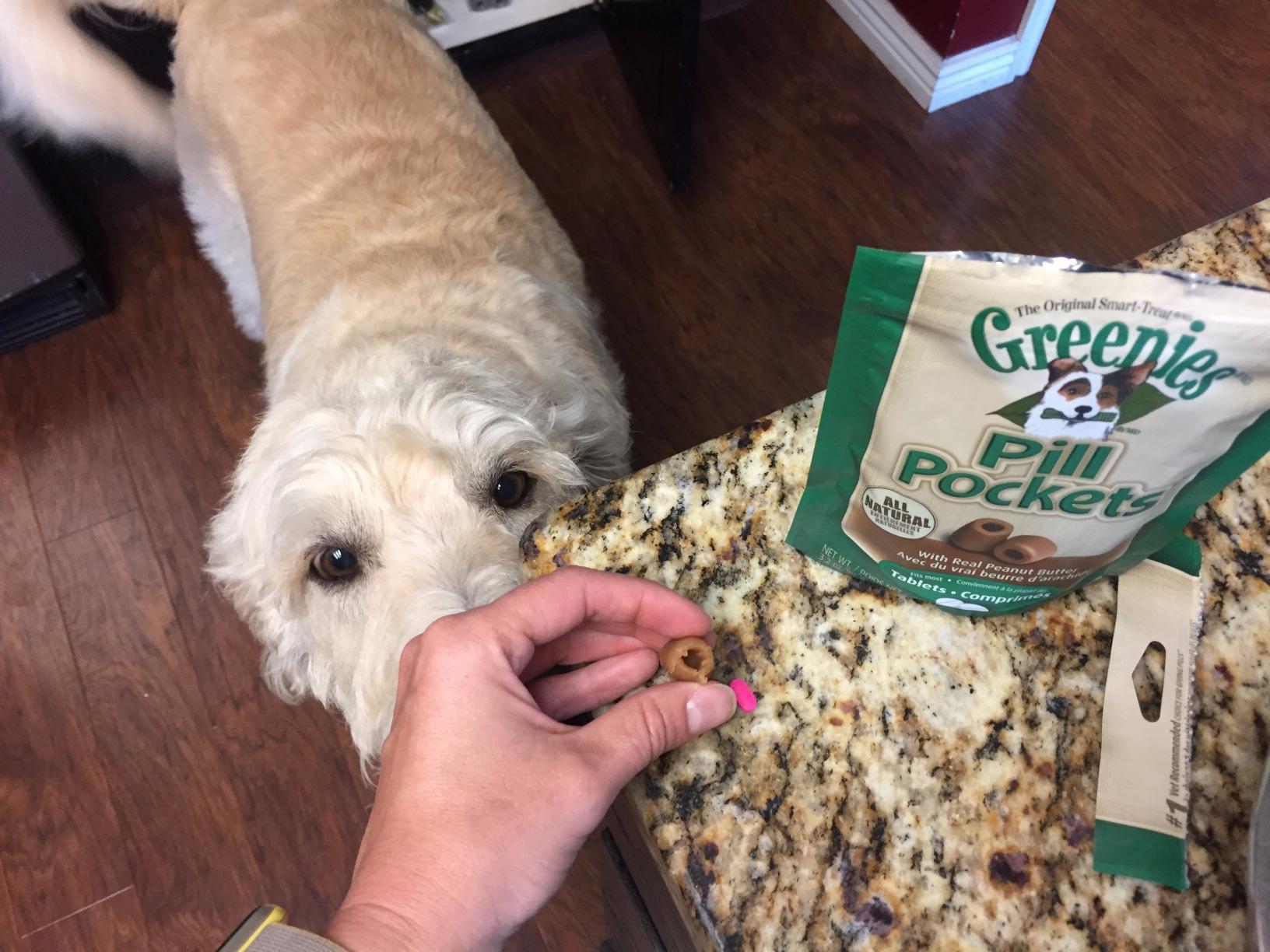 Greenies Pill Pockets Small Size Dog Treats, Peanut Butter, 3.2 oz customer photo 1
