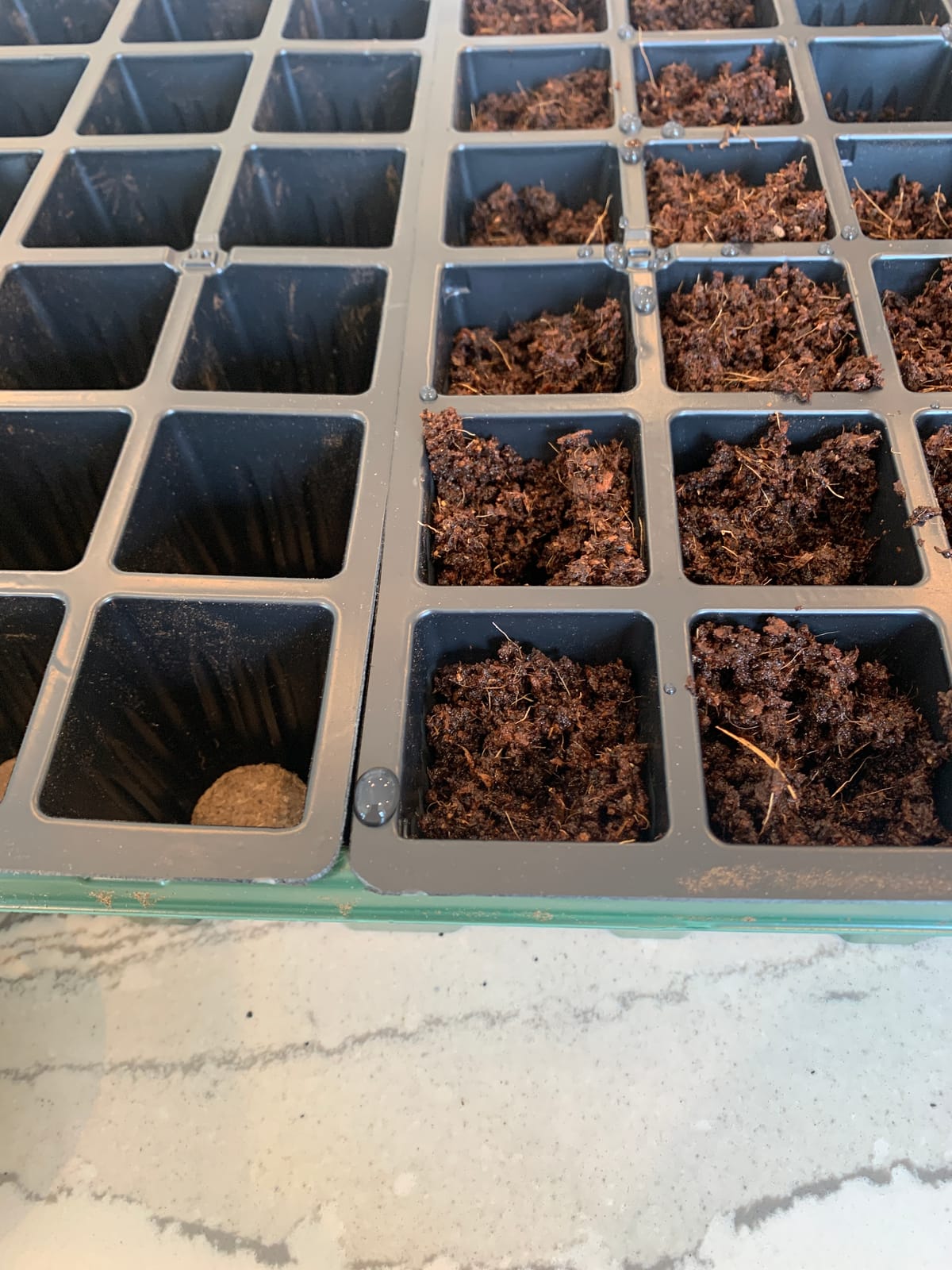 Burpee 72 Cell Seed Starting Kit with Greenhouse Dome and Coir Pellets customer photo 2