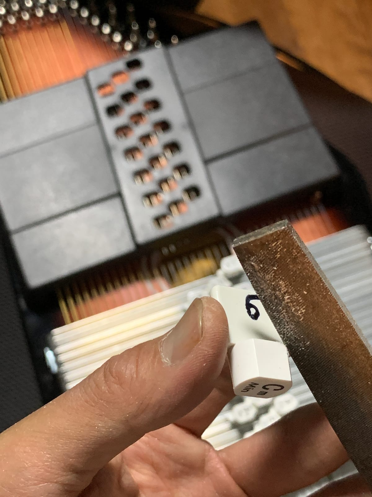 Oscar Schmidt OS21CE 21 Chord Acoustic Electric Auto Harp. Tobacco Sunburst customer photo 2