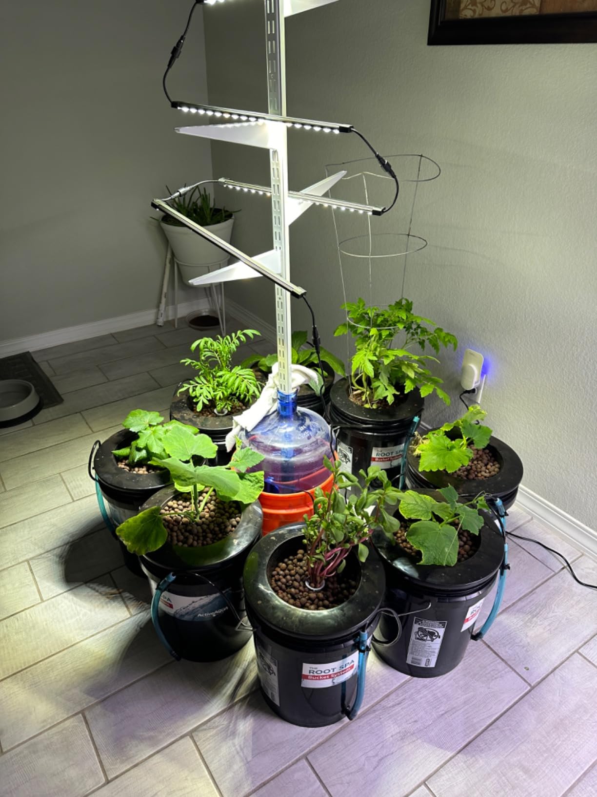 Hydrofarm RS5GALSYS Root Spa Deep Water Culture Bucket System, 5 Gallon, black customer photo 2
