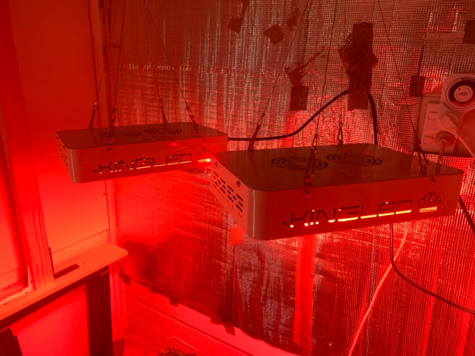 KingLED KP1000 Grow Light for Indoor Plants, Full Spectrum Plant Grow Light customer photo 1