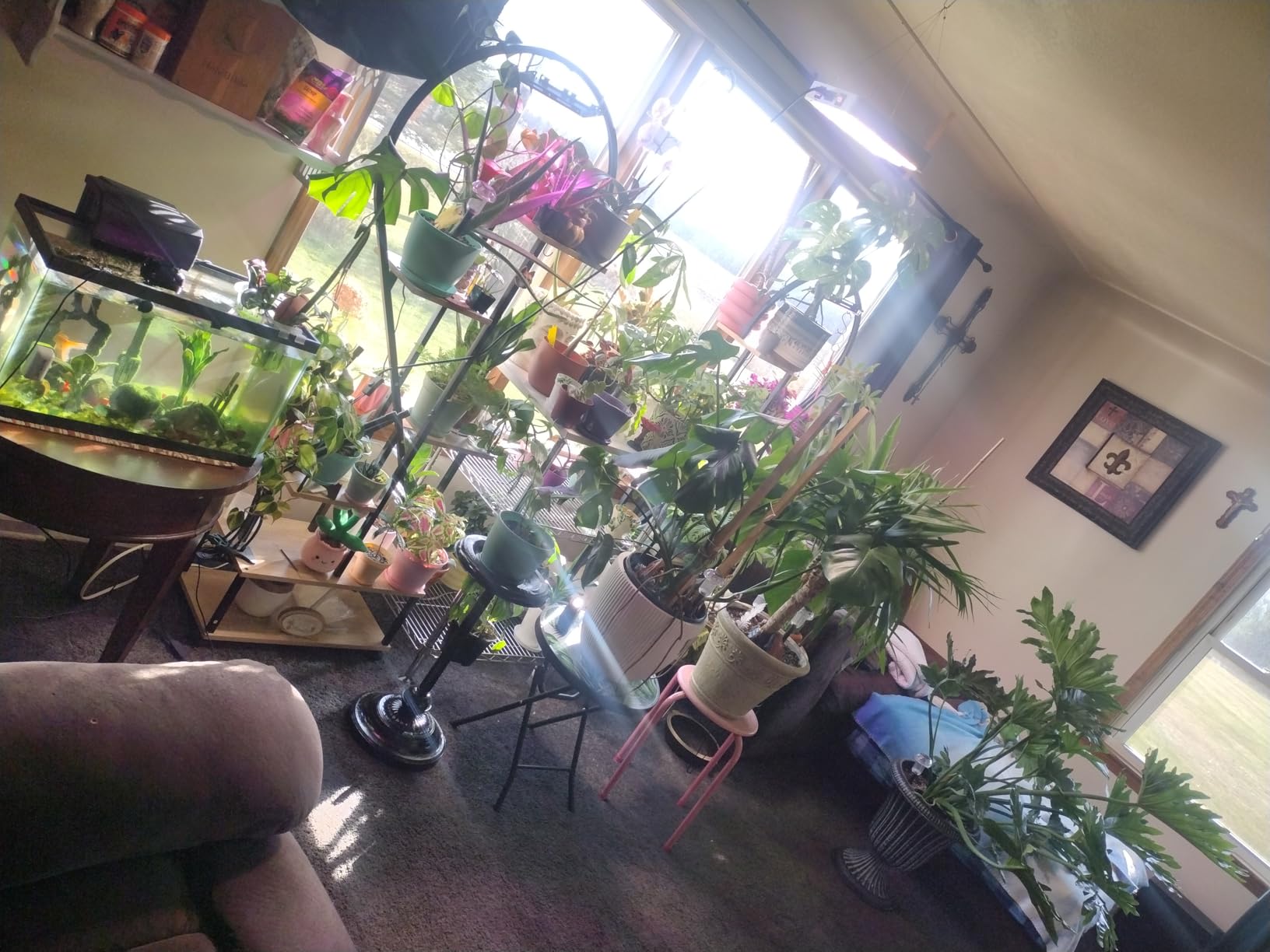 KingLED KP1000 Grow Light for Indoor Plants, Full Spectrum Plant Grow Light customer photo 2