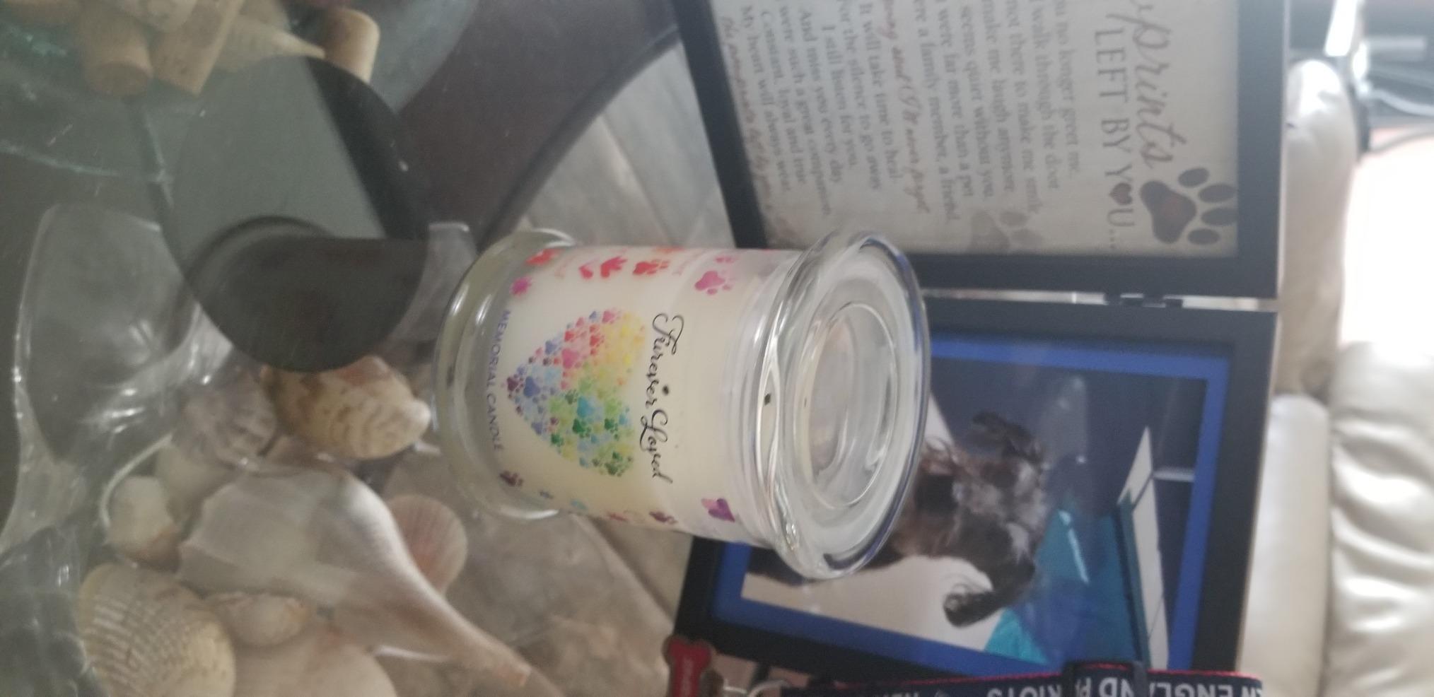 Pet Memorial Candle Pet Friendly Plant-Based Wax, Pet House customer photo 2