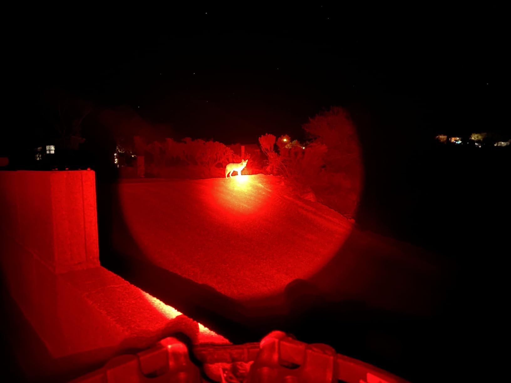 LUMENSHOOTER LS250 Varmint Hunting Light Kit customer photo 1