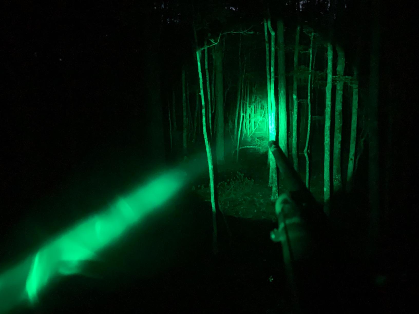 LUMENSHOOTER LS250 Varmint Hunting Light Kit customer photo 2
