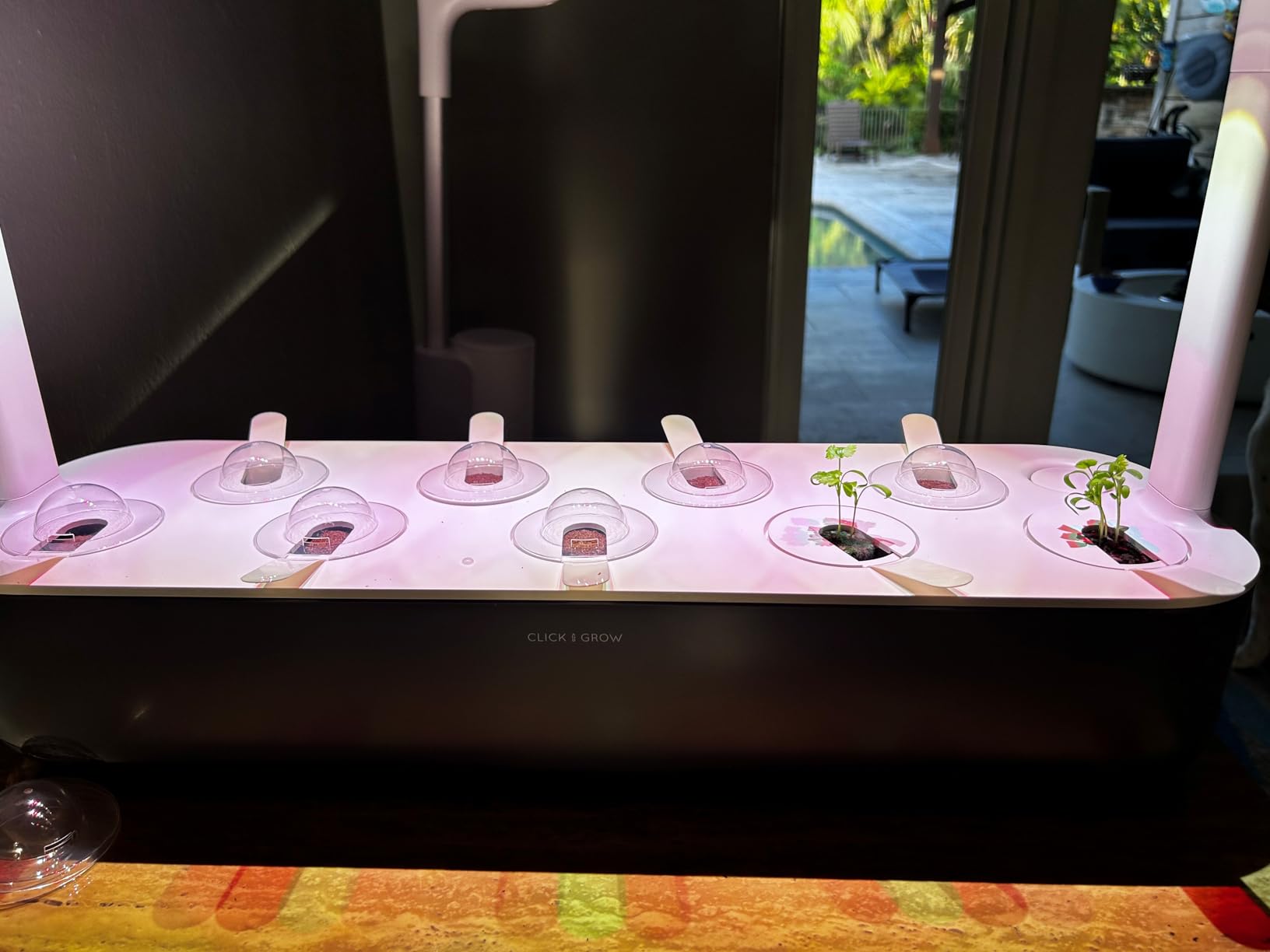 Click & Grow Smart Garden 9 Indoor Herb Garden Kit with Grow Light, Gray customer photo 1
