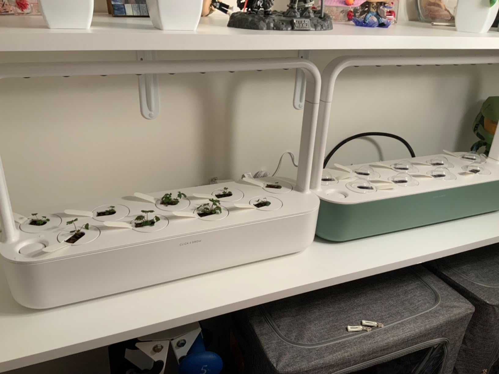 Click & Grow Smart Garden 9 Indoor Herb Garden Kit with Grow Light, Gray customer photo 2