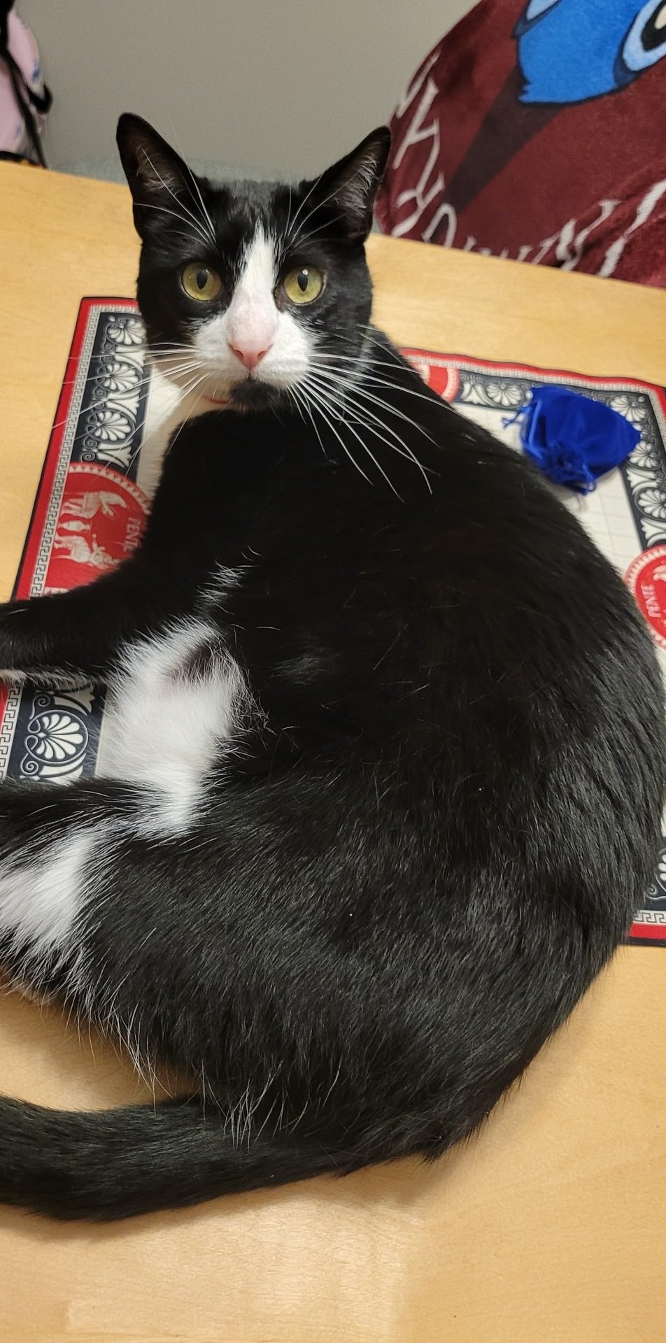 Deluxe Pente, Abstract Family Strategy Game, by Winning Moves Games USA customer photo 2
