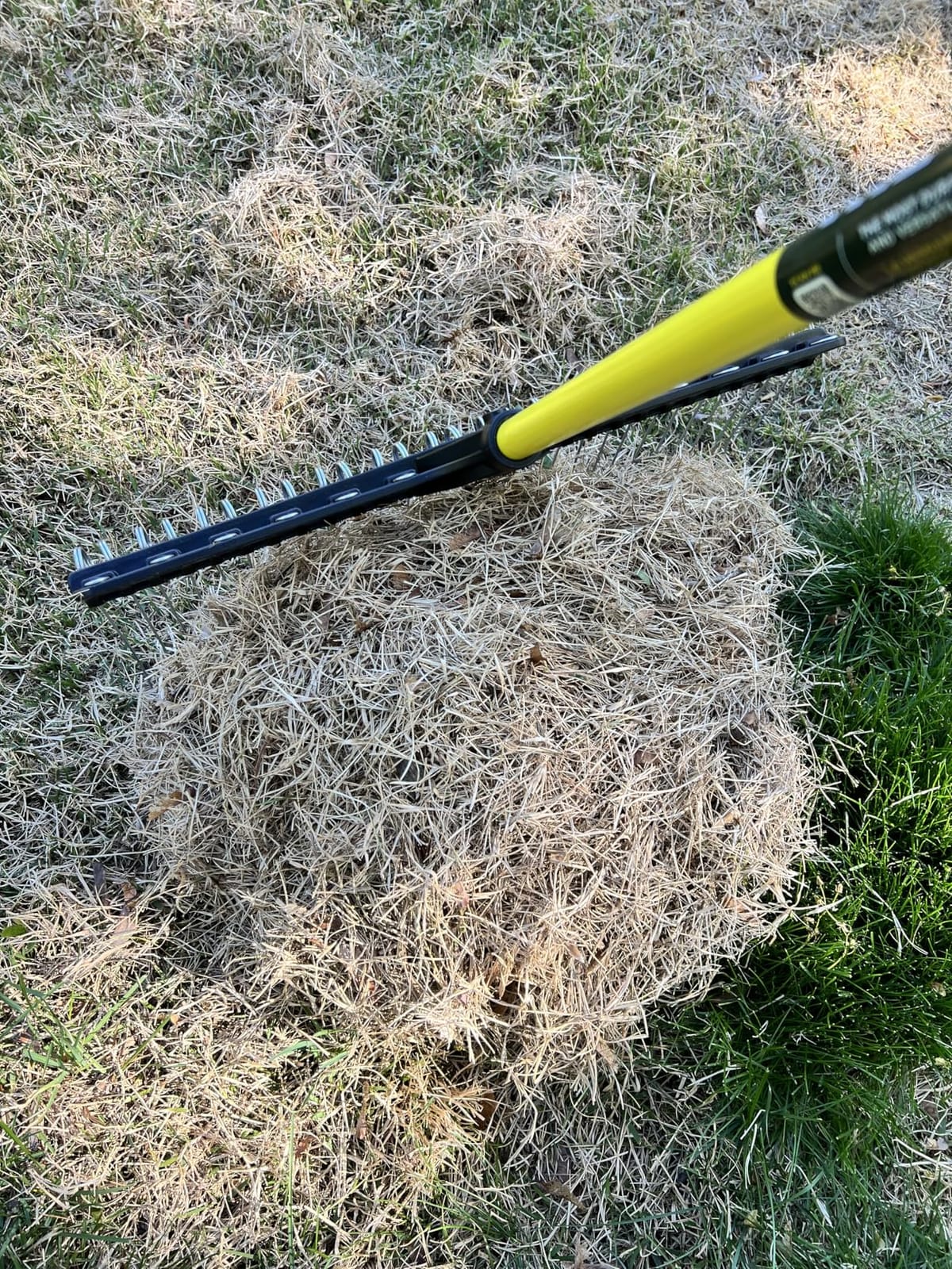 THE GROUNDSKEEPER II Rake 55-inch Lightweight Fiberglass Handle, 21-inch Head, Durable Steel Tines for Gardening, De-Thatching or Professional Landscaping customer photo 2