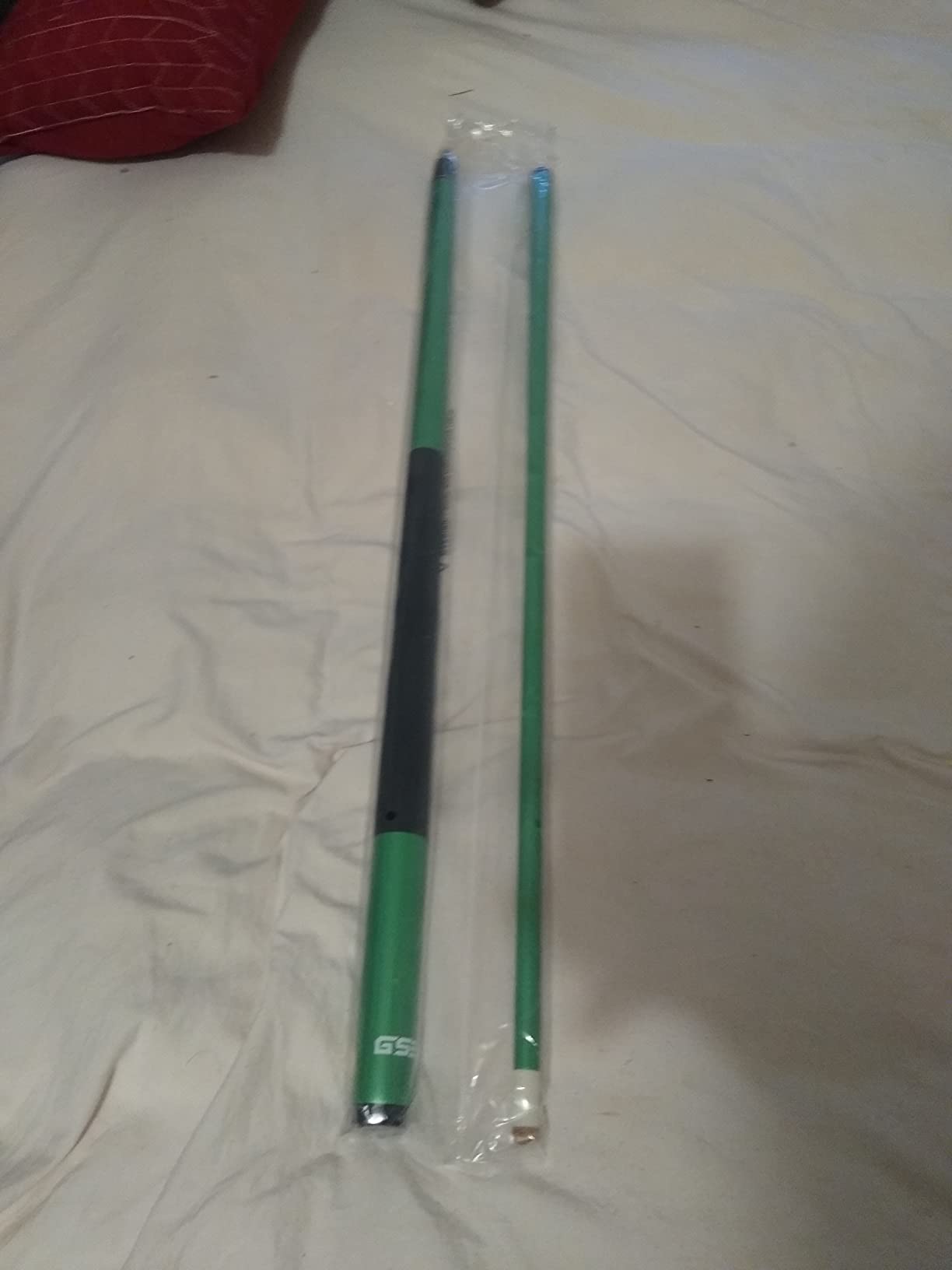 GSE 58