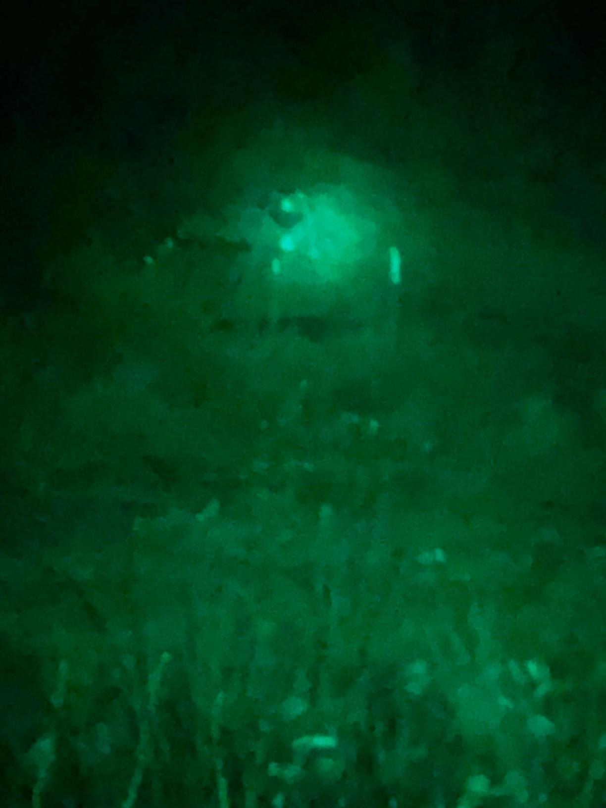 VASTFIRE 350 Yard Green Hunting Light Zoomable Flashlight Hog Predator Lights with Pressure Switch Picatinny Rail Mount 1 Inch to 30mm Scope Mount Gift Carrying Case customer photo 2