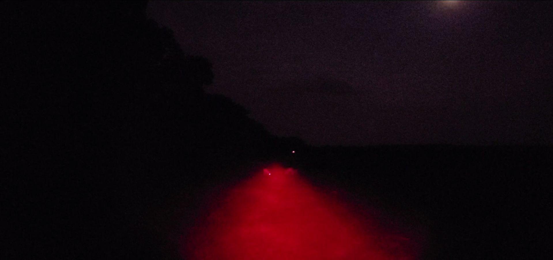 VASTFIRE Predator Light with Interchangeable (Red, Green, White) LED Hunting Flashlight with Scope Mount for Hog Coyote Coon Bobcat Raccoon Varmint Rabbit Night Hunting customer photo 1