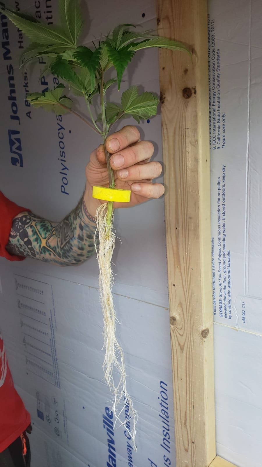 HORTIPOTS Cloning Machine Aeroponic Cloner System 70 Site for Plant Cuttings Using 1.625 inch Neoprene Clone Inserts (1-5/8 inch) customer photo 1