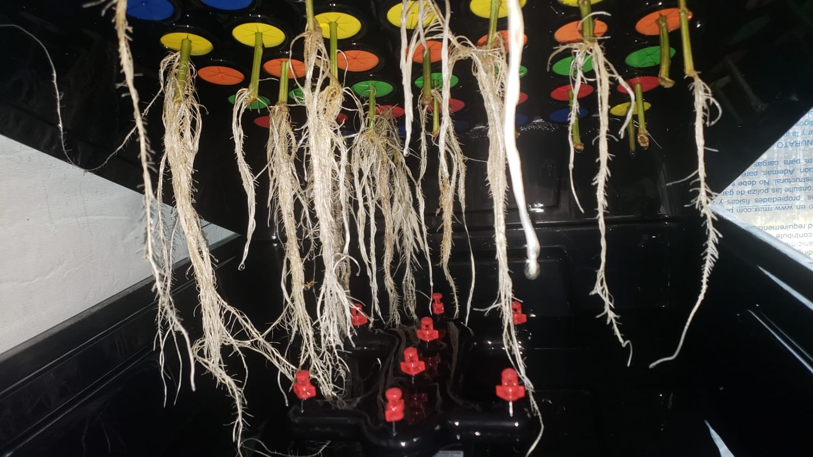 HORTIPOTS Cloning Machine Aeroponic Cloner System 70 Site for Plant Cuttings Using 1.625 inch Neoprene Clone Inserts (1-5/8 inch) customer photo 2