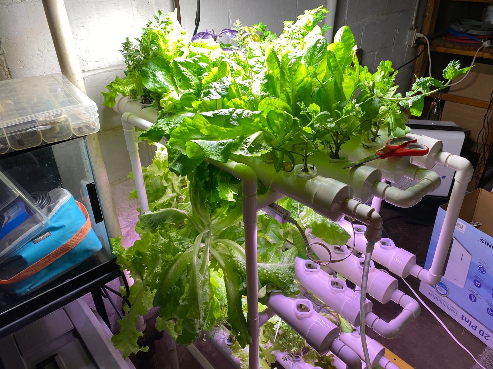 DreamJoy 3 Layers 108 Plant Sites Hydroponic Site Grow Kit 12 Pipes Hydroponic Growing System Water Culture Garden Plant System for Leafy Vegetables Lettuce Herb Celery customer photo 1