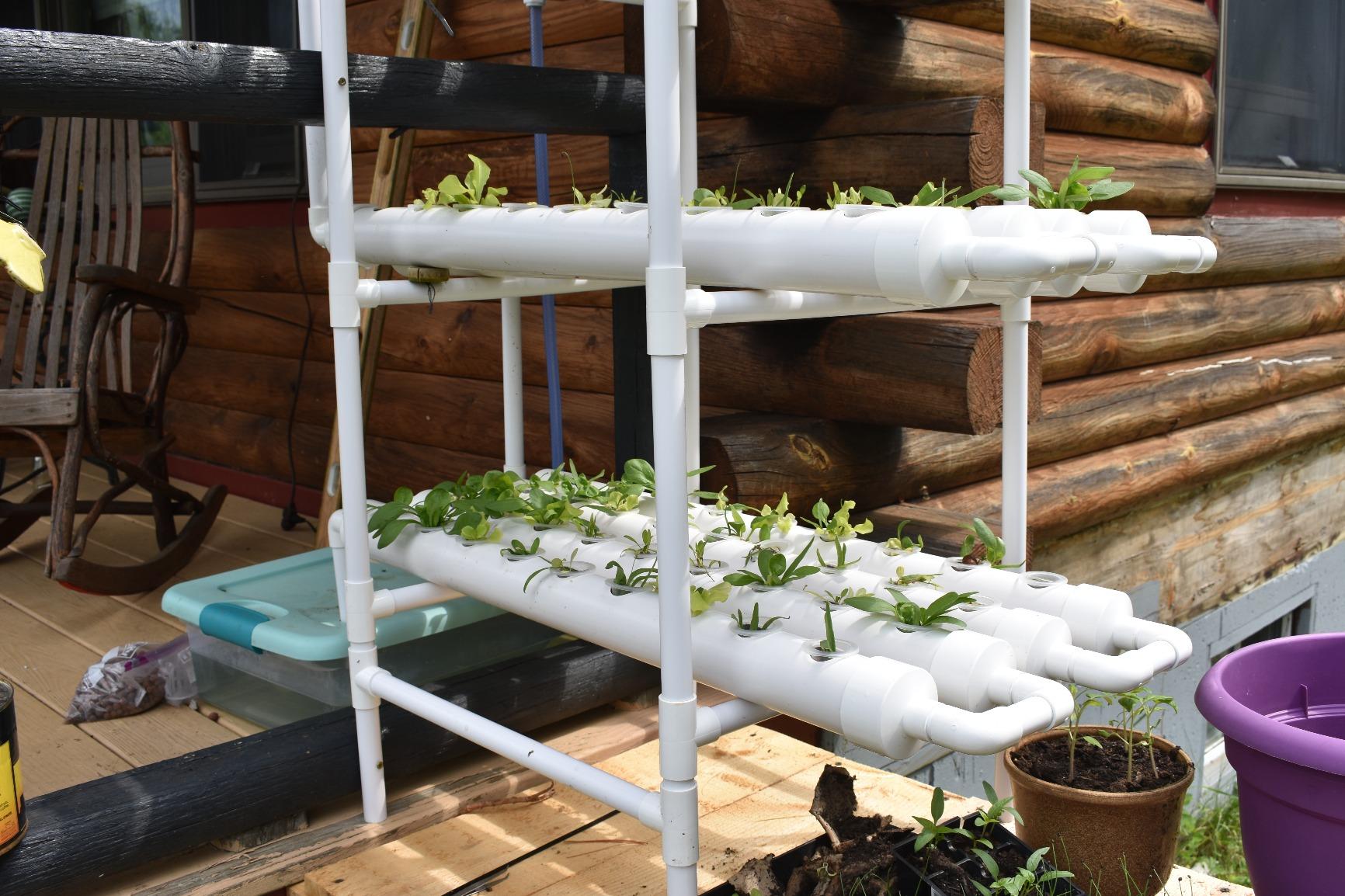 DreamJoy 3 Layers 108 Plant Sites Hydroponic Site Grow Kit 12 Pipes Hydroponic Growing System Water Culture Garden Plant System for Leafy Vegetables Lettuce Herb Celery customer photo 2