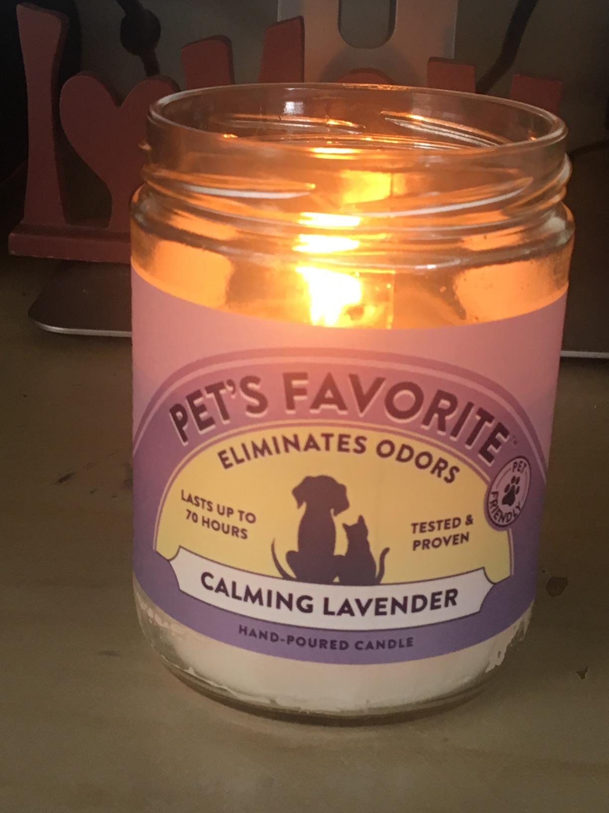 Calming Lavender Pet Odor Eliminator Candle Pet Friendly, 1 Pack customer photo 1