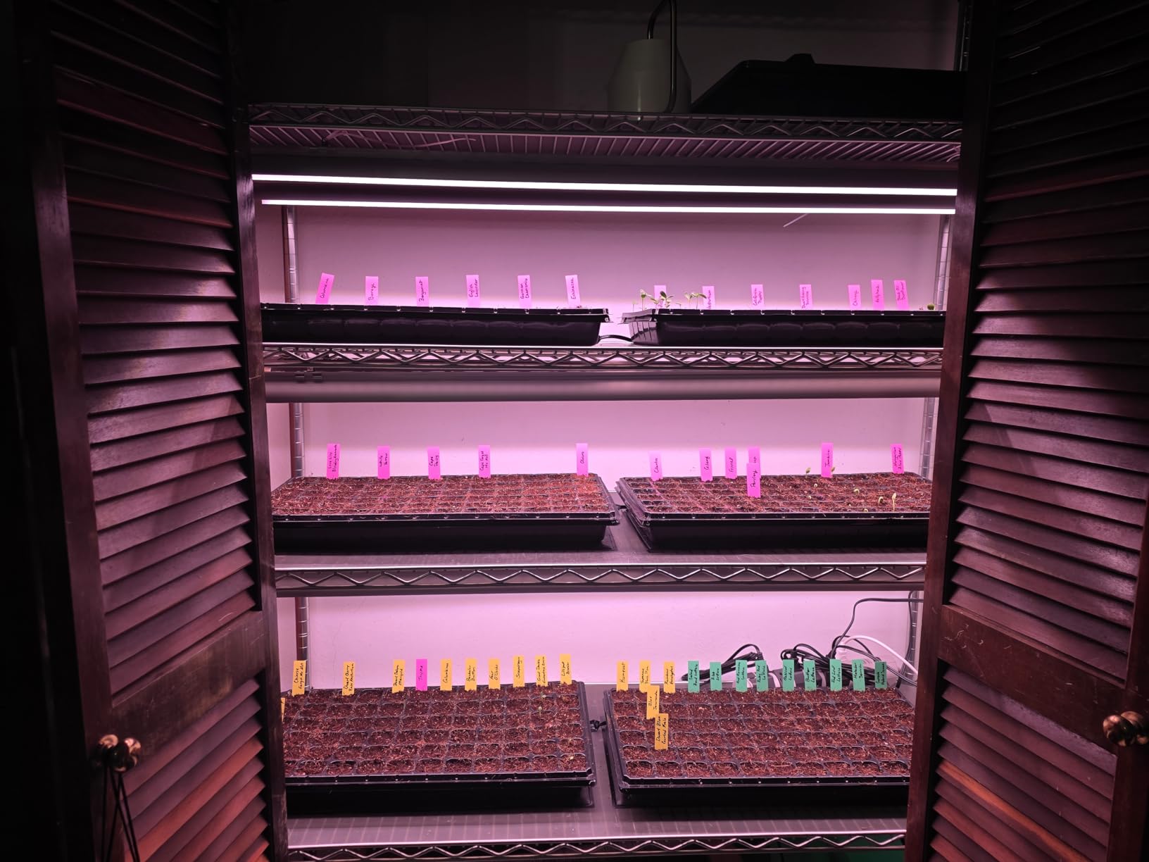 Barrina LED Grow Light, 252W(6 x 42W) 4ft T8, Full Spectrum, Pink, 6 Packs customer photo 1