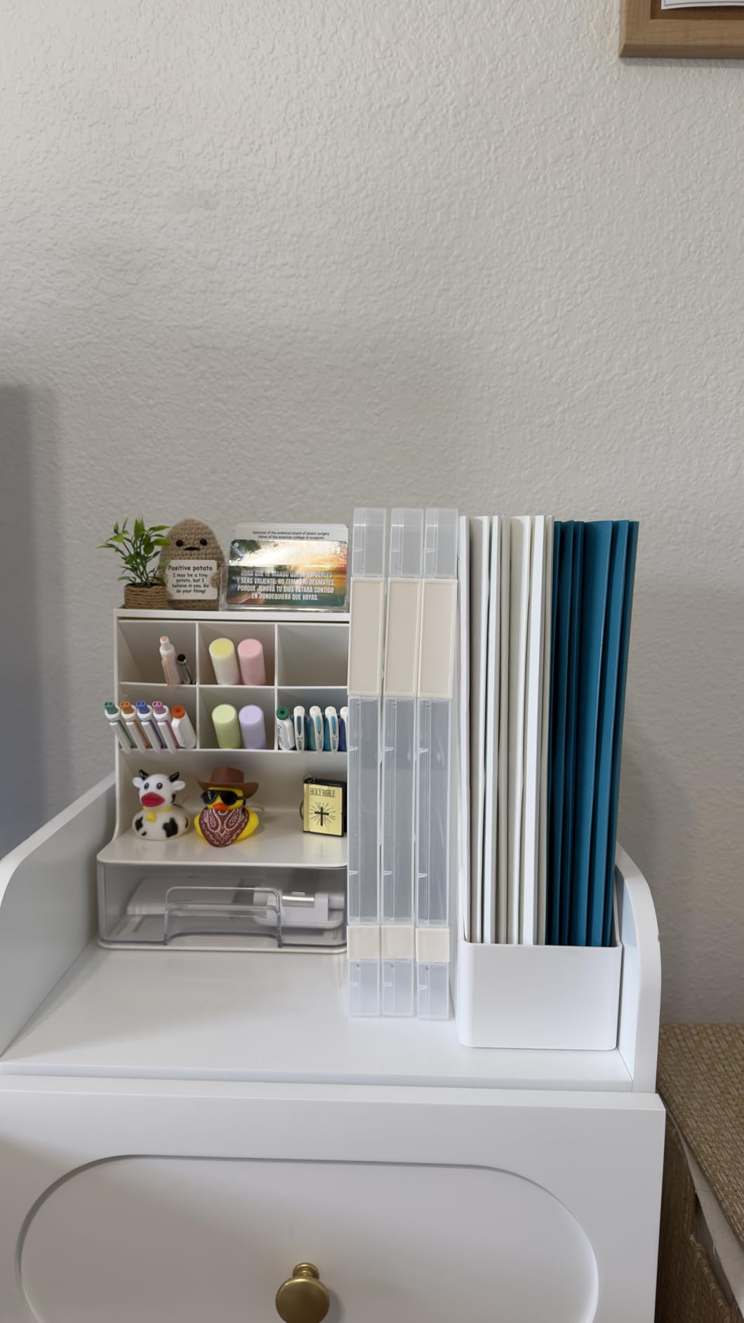 Amazon Basics Rectangular Plastic Desk Organizer, Magazine Rack, White, 2-Pack Temp customer photo 1