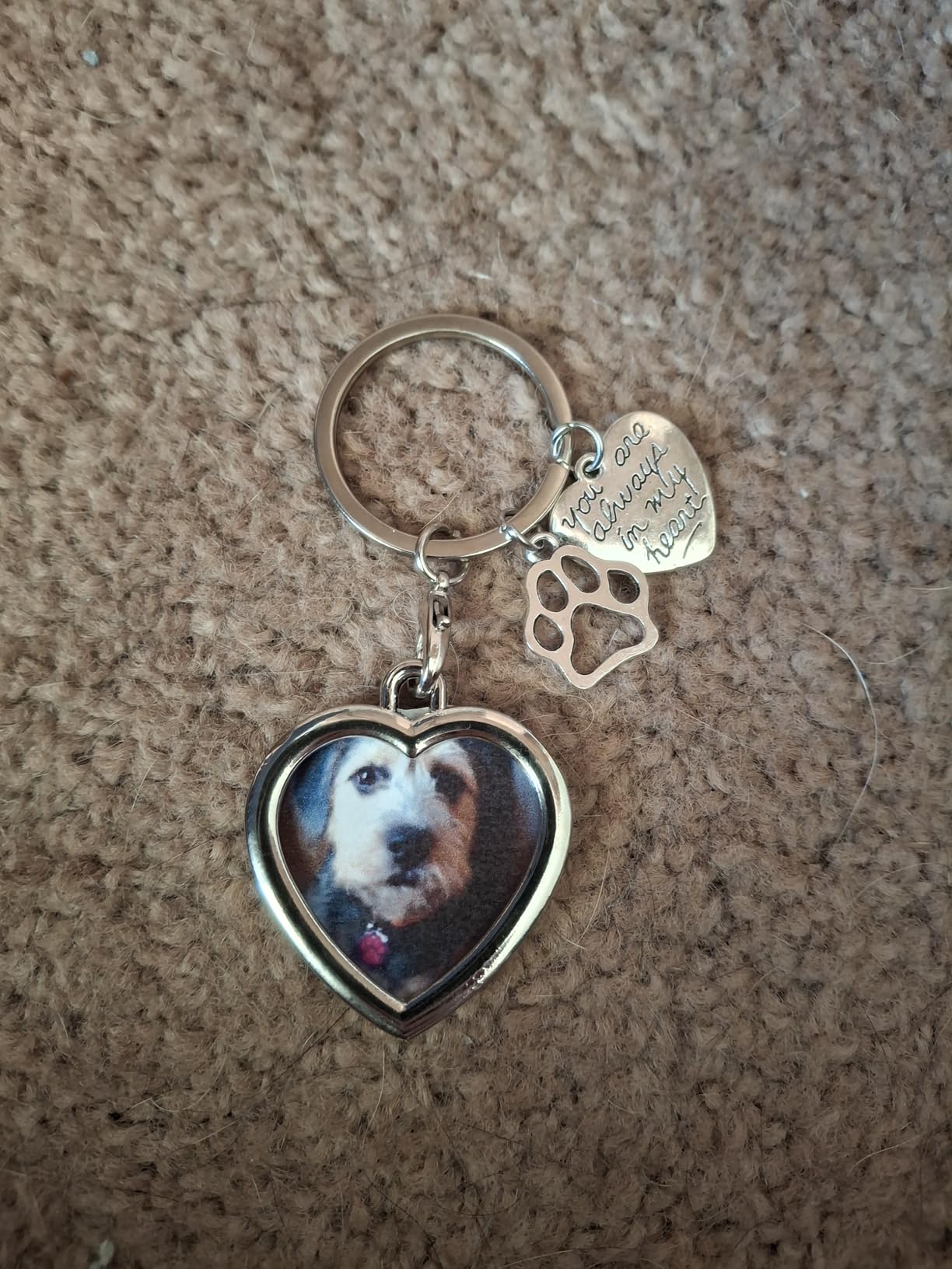 Pet Dog Remembrance Memorial Photo Frame Keychain Gifts, Pet Sympathy Present, You are Always in My Heart customer photo 1