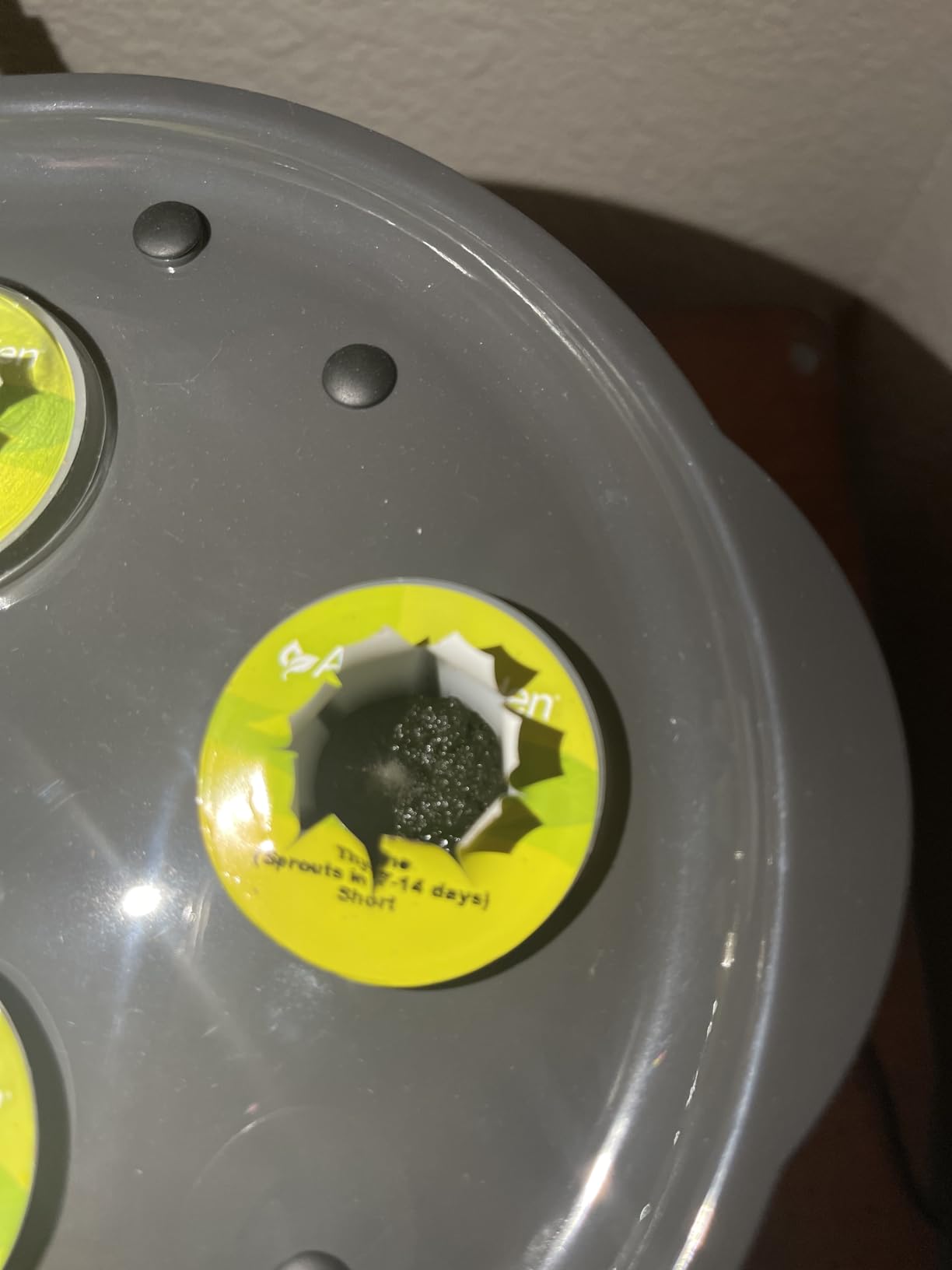 AeroGarden Bounty, White customer photo 1