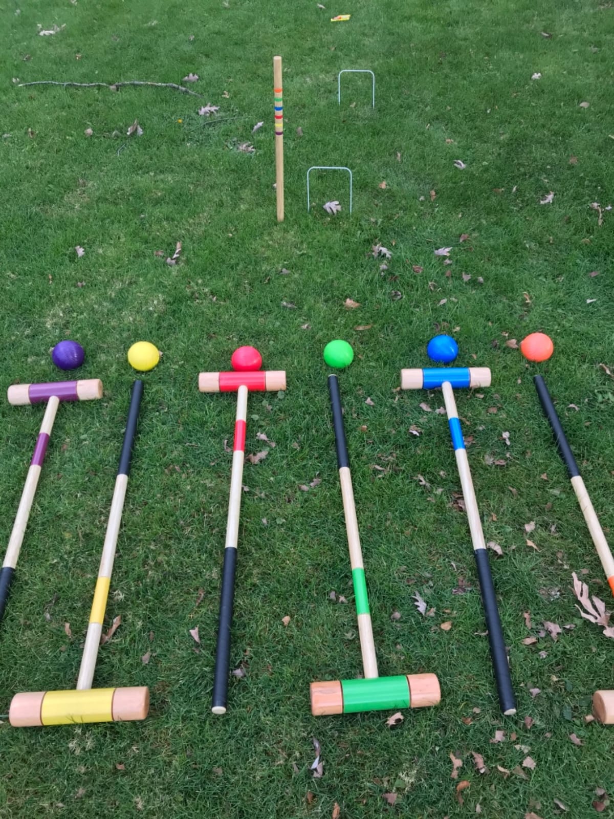 Amazon Basics Six Player Croquet Set with Wooden Mallets and Carry Case, Portable Party Game, Black customer photo 1